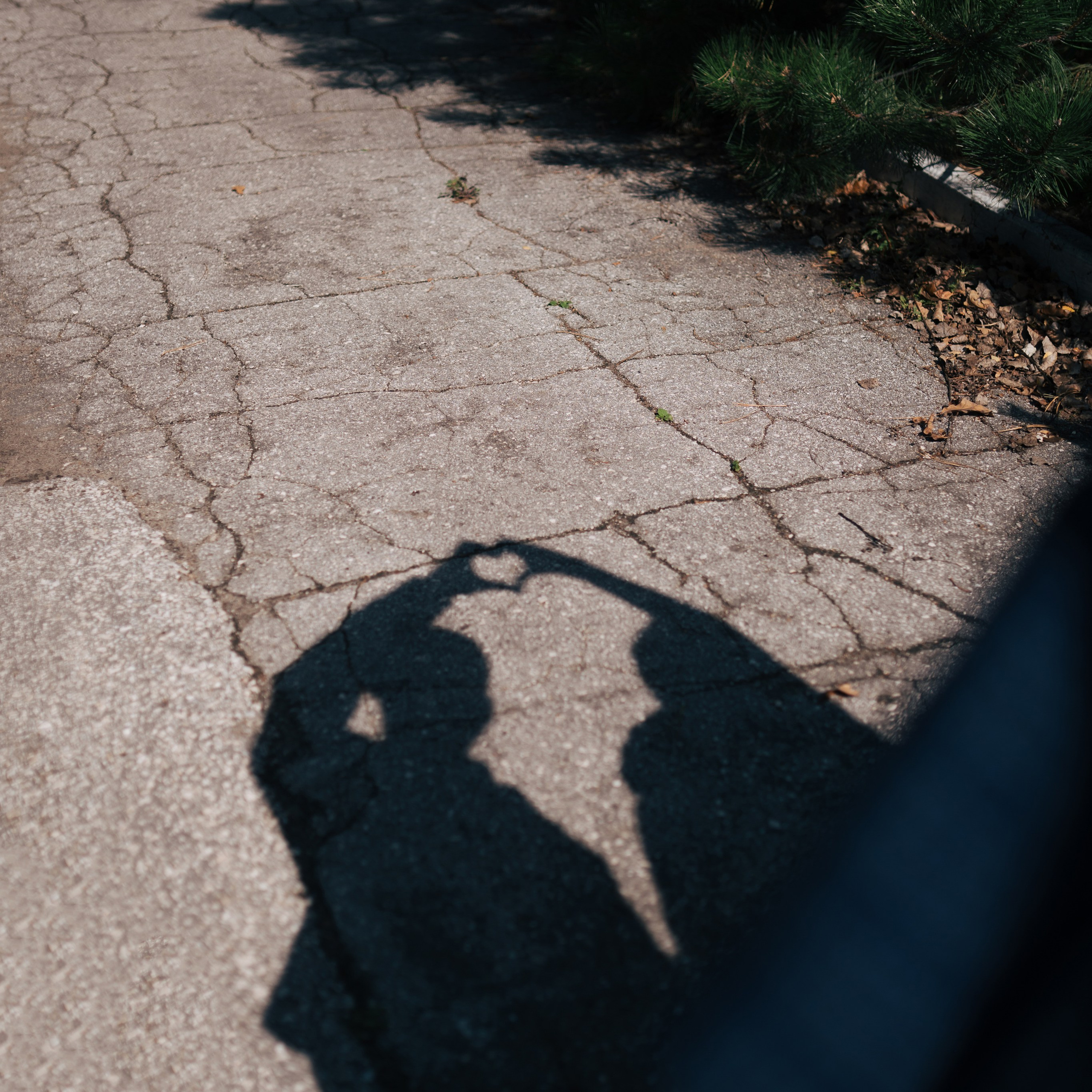 Свадьбы. Фотограф