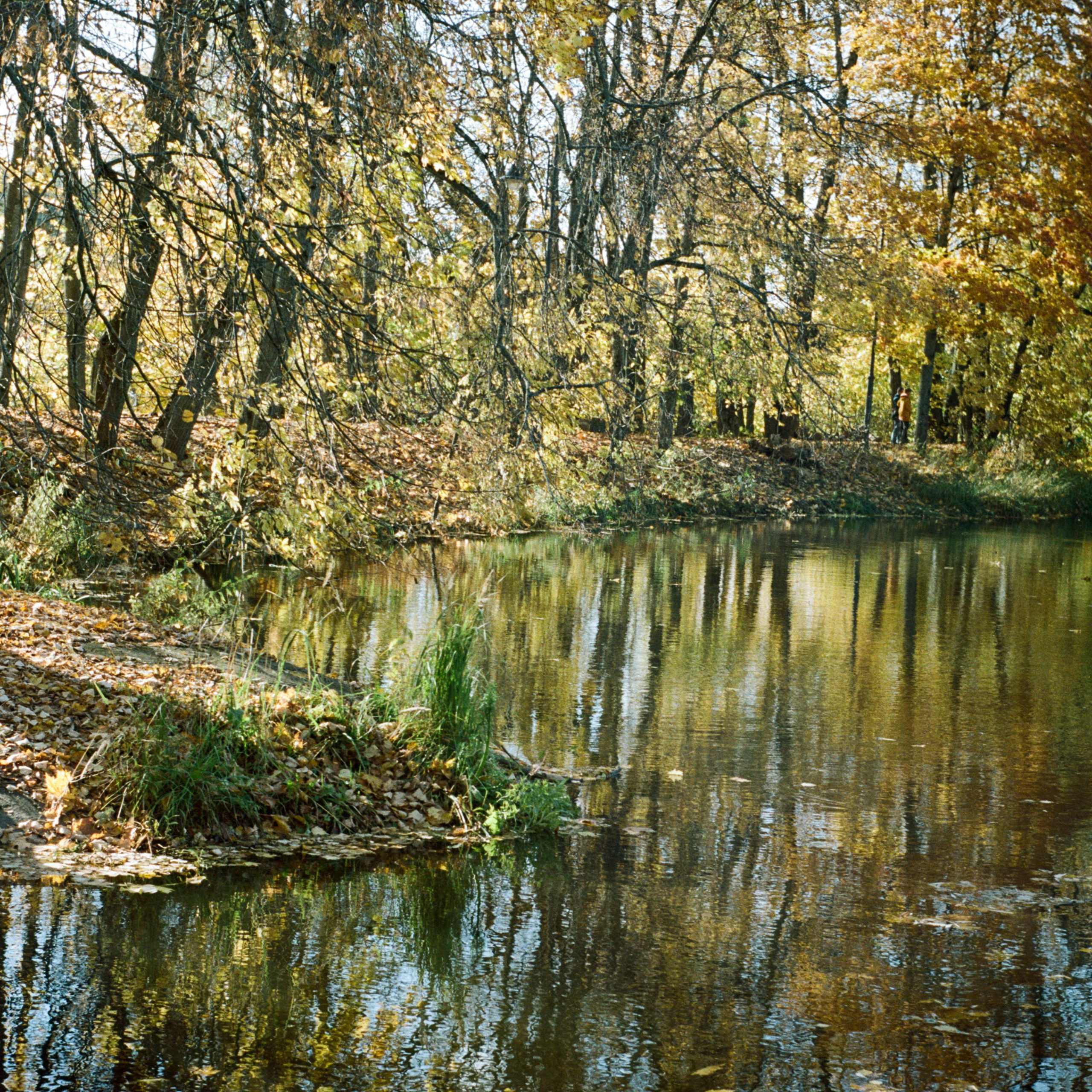 Edixa Reflex-D — Enna Munchen Ennalyt 50 1.9 / Kodak Portra 160