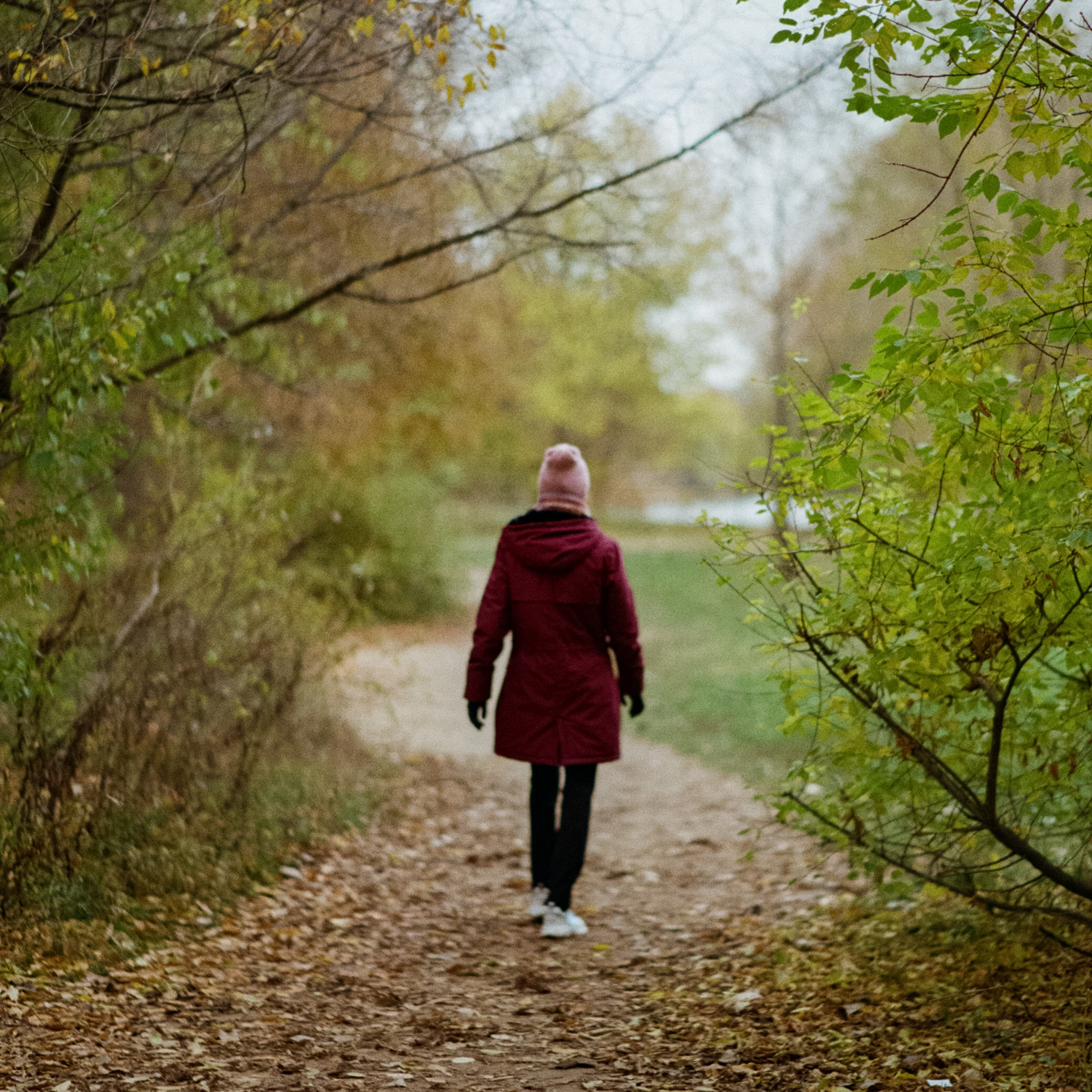 Canon EOS 33V + Minolta MD 85 mm f1.7 / Kodak Gold 200