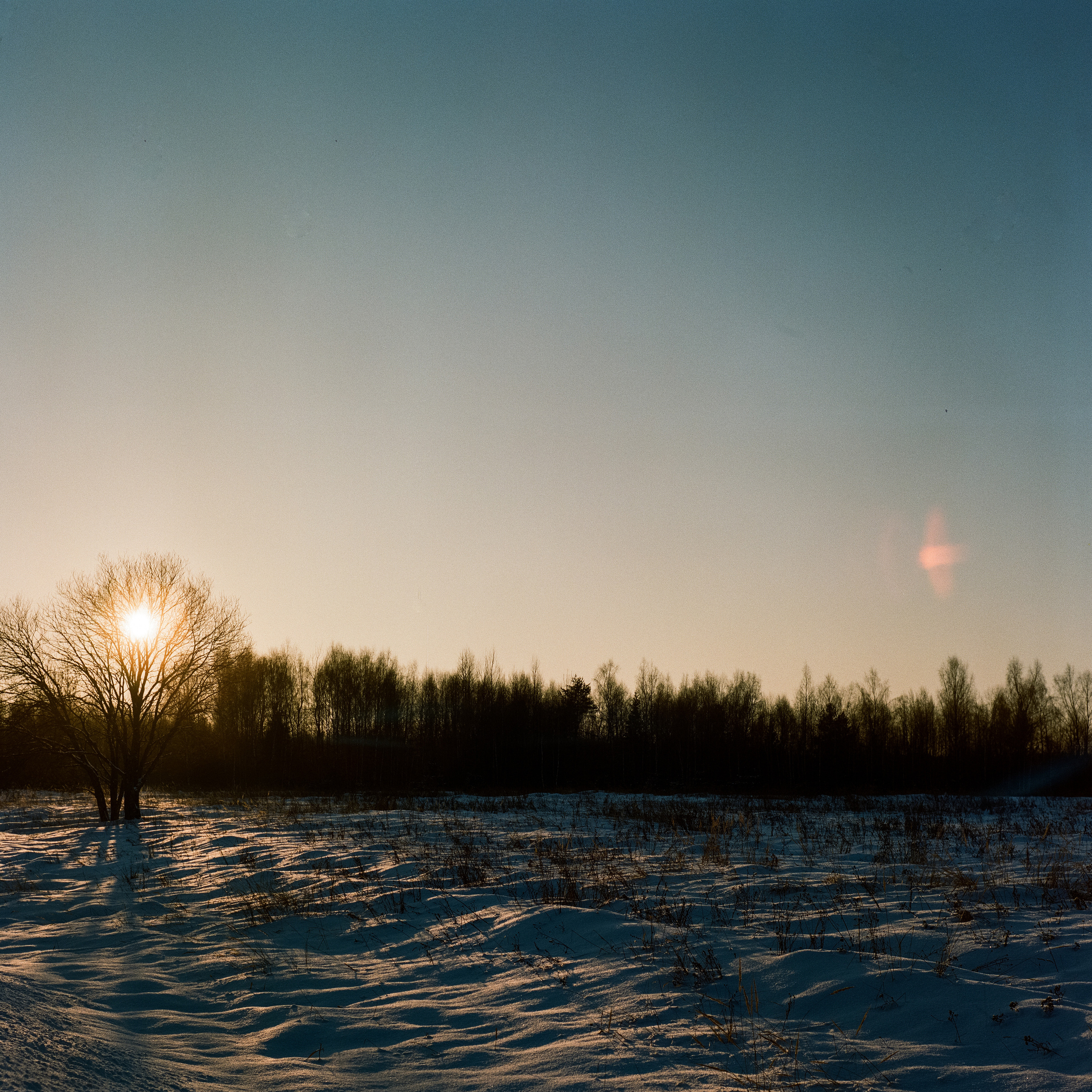 Kowa Super 66 — Kowa 85 mm f2.8 / Kodak Portra 400