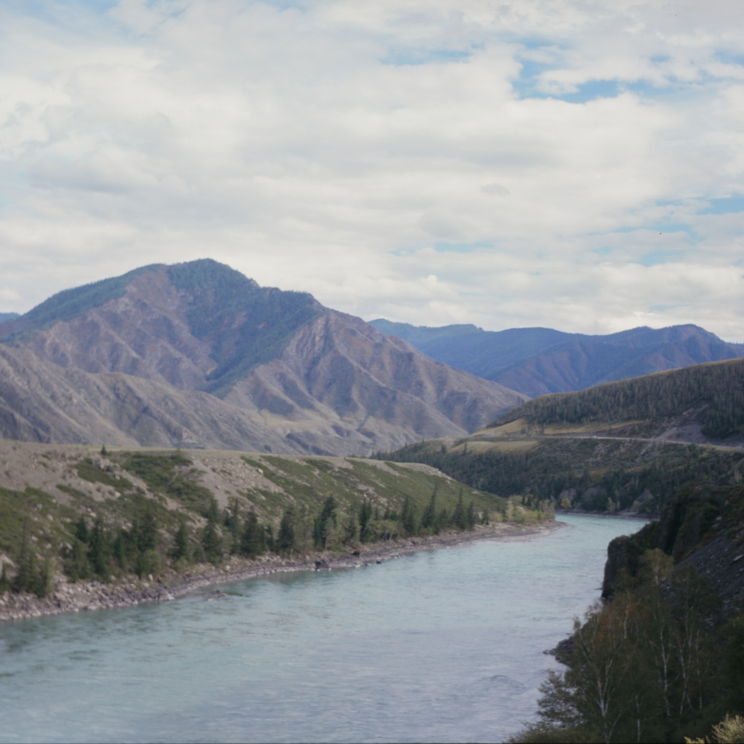 Перевал Чике-Таман — смотровая площадка на реку Катунь / Royer / Fujichrome ASTIA 100 °F @ISO 50