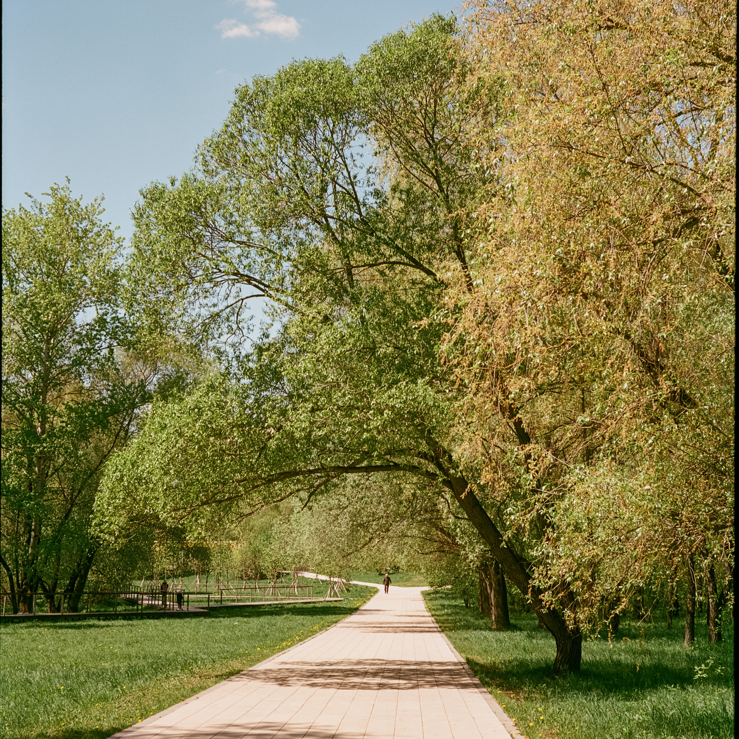 Kodak Aerocolor IV / Voightlander Bessa 46