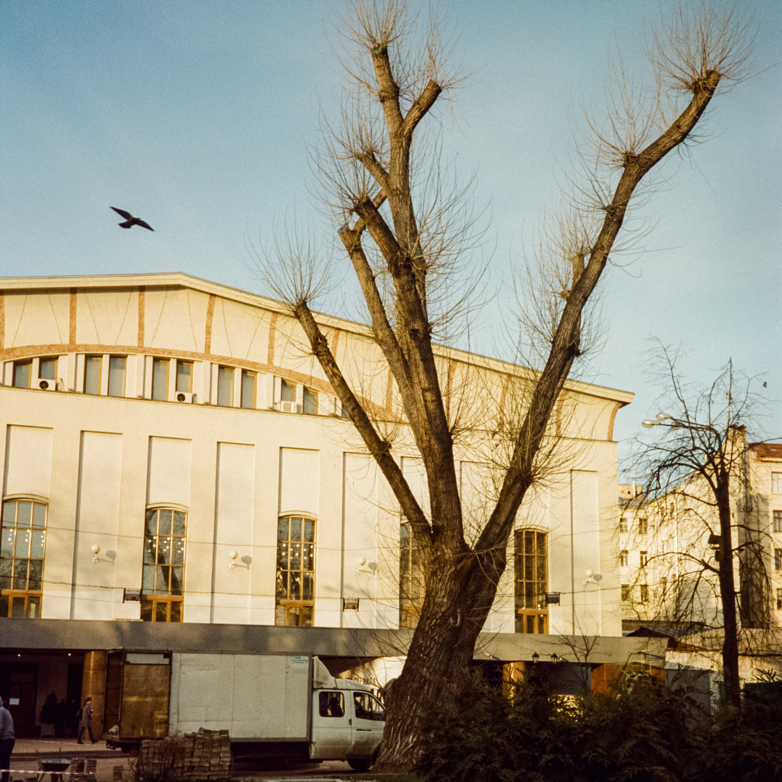 Pentax PC35AF-M / Kodak Vision 3 250D