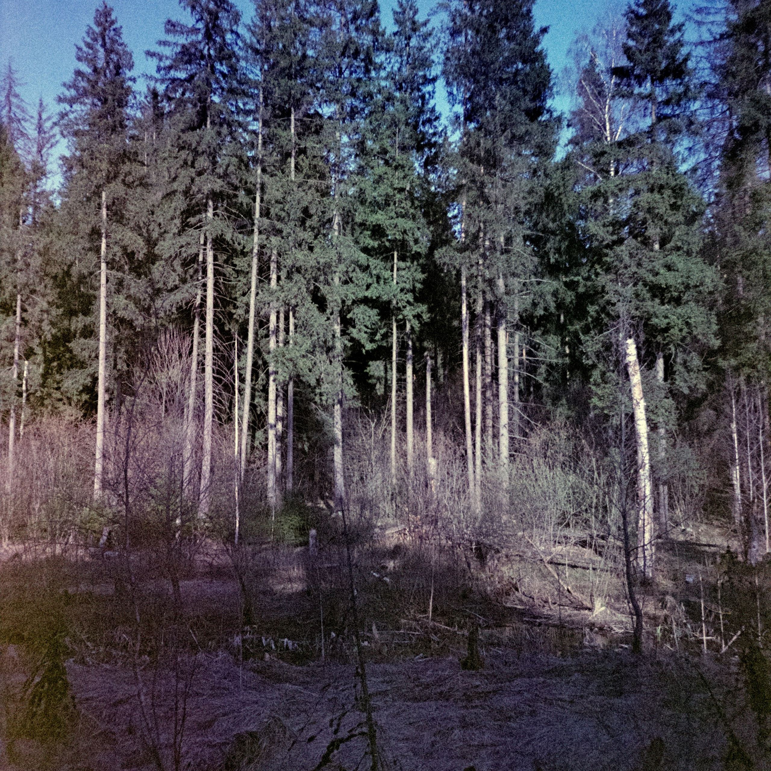 Ricoh R1 | Fujicolor Superia X-tra 400 (просрочка) @ ISO 100