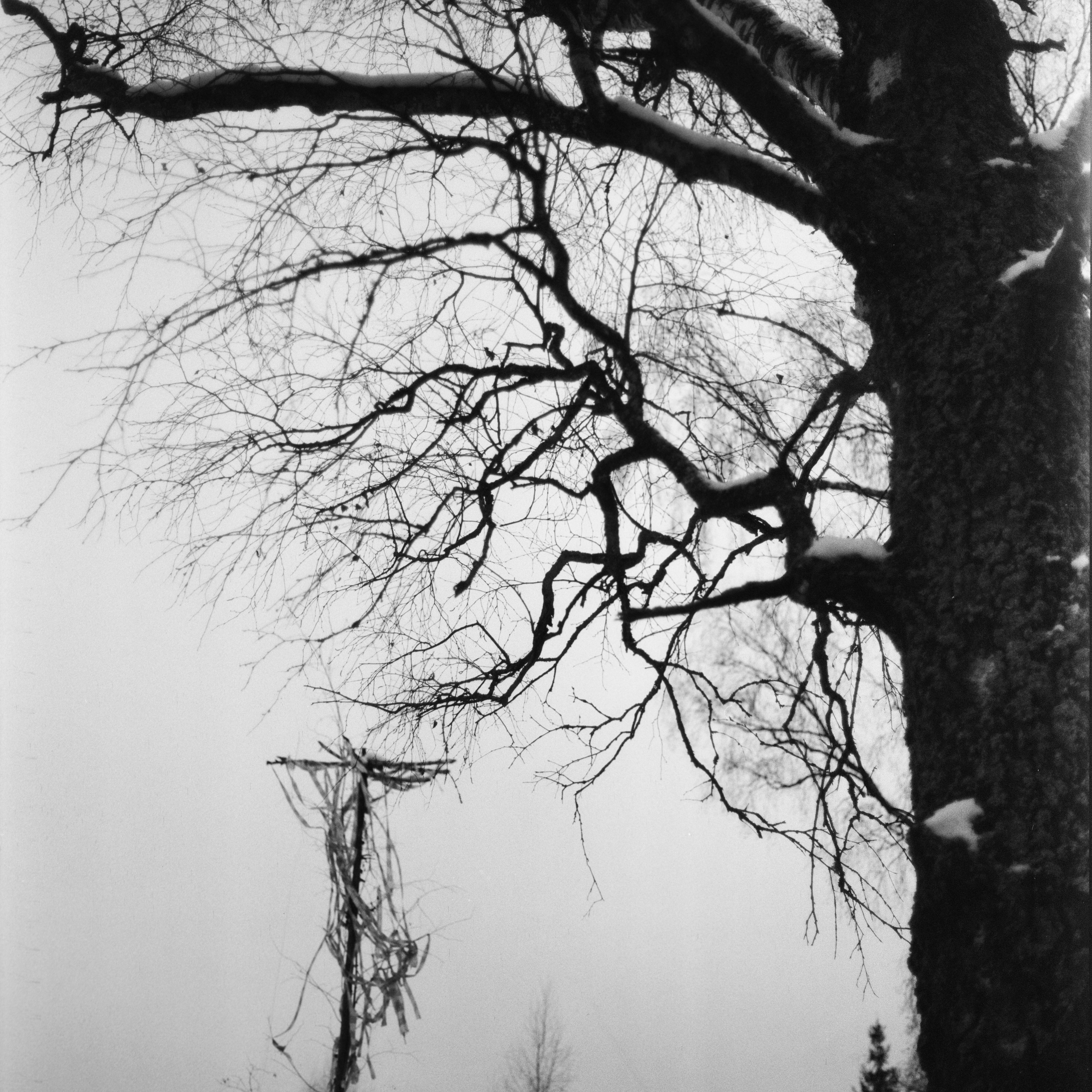 Kowa Super 66 — Kowa 85 mm f/2.8 / SFL Double-X Aerographic 400 (Kodak 2405)