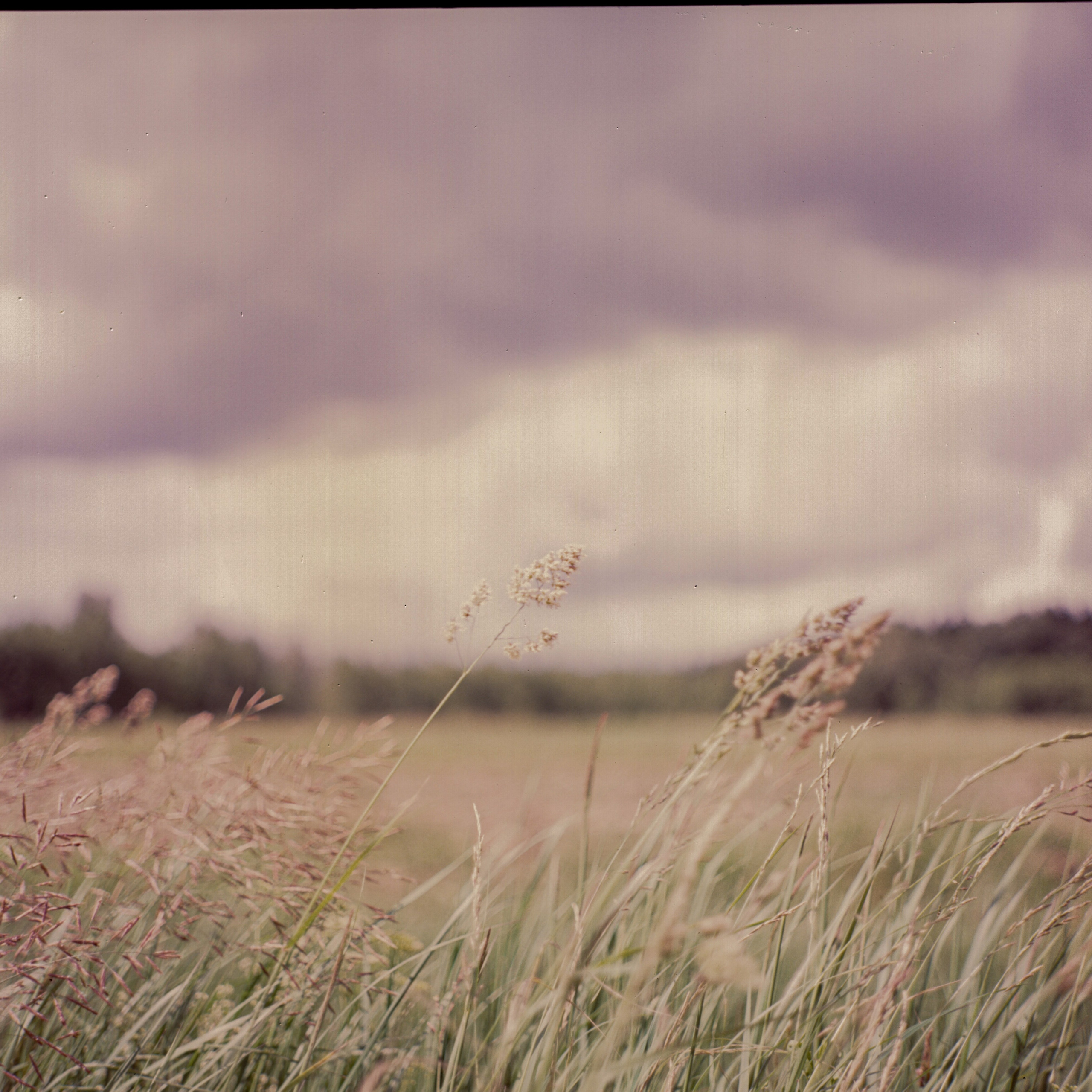 Kodak Ektachrome E200 (слайд просрочка) @ISO 50 | Zanza Bronica S2A — Nikkor-P 75 mm f2.8 | июль 2025 г.