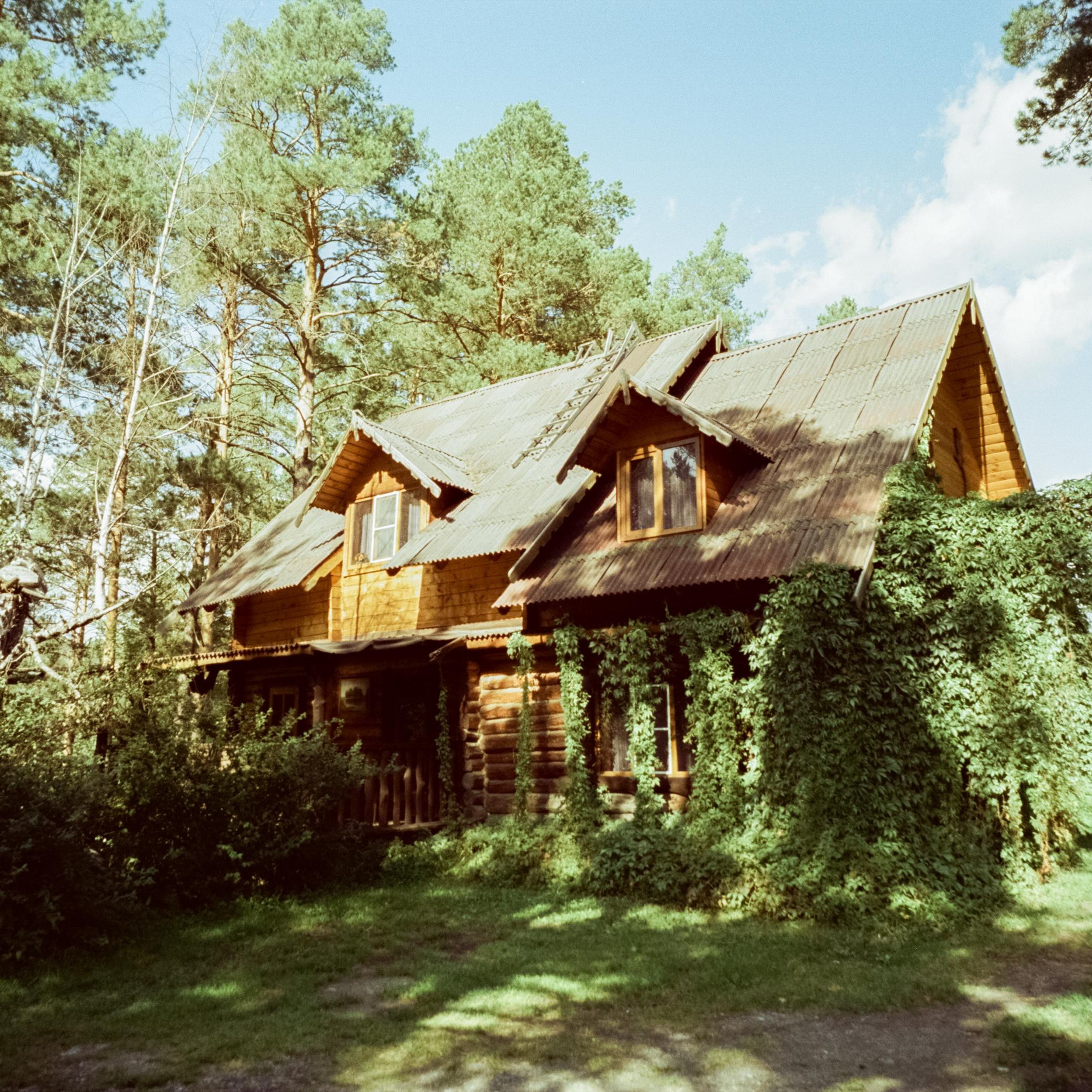 База Altai Star / Hitchcock (Kodak Vision 3 50D) / Biogon T* 21 mm f/2.8