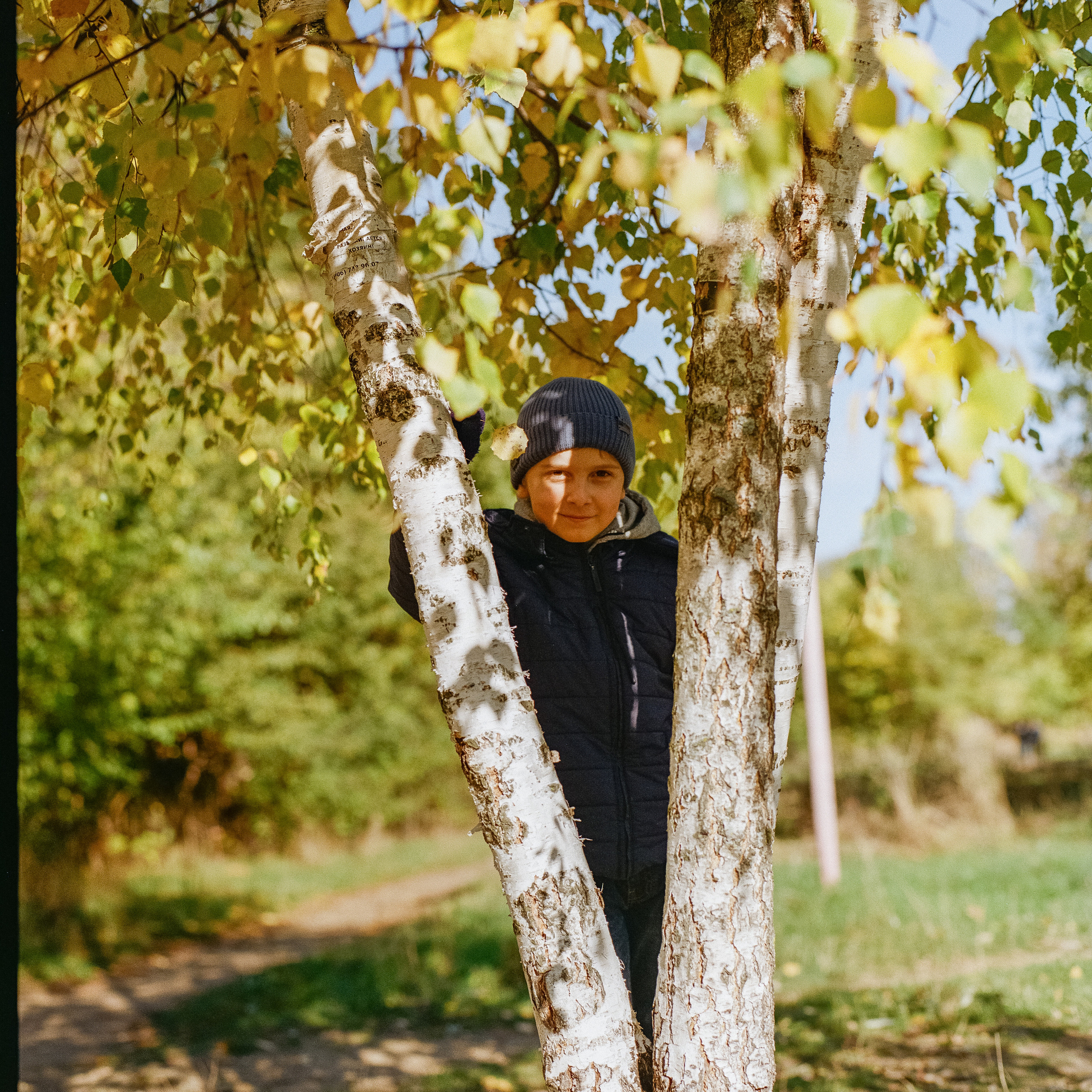 Mamiya 645 — Mamiya-Sekor C 80 mm f1.9 / Kodak Gold 200