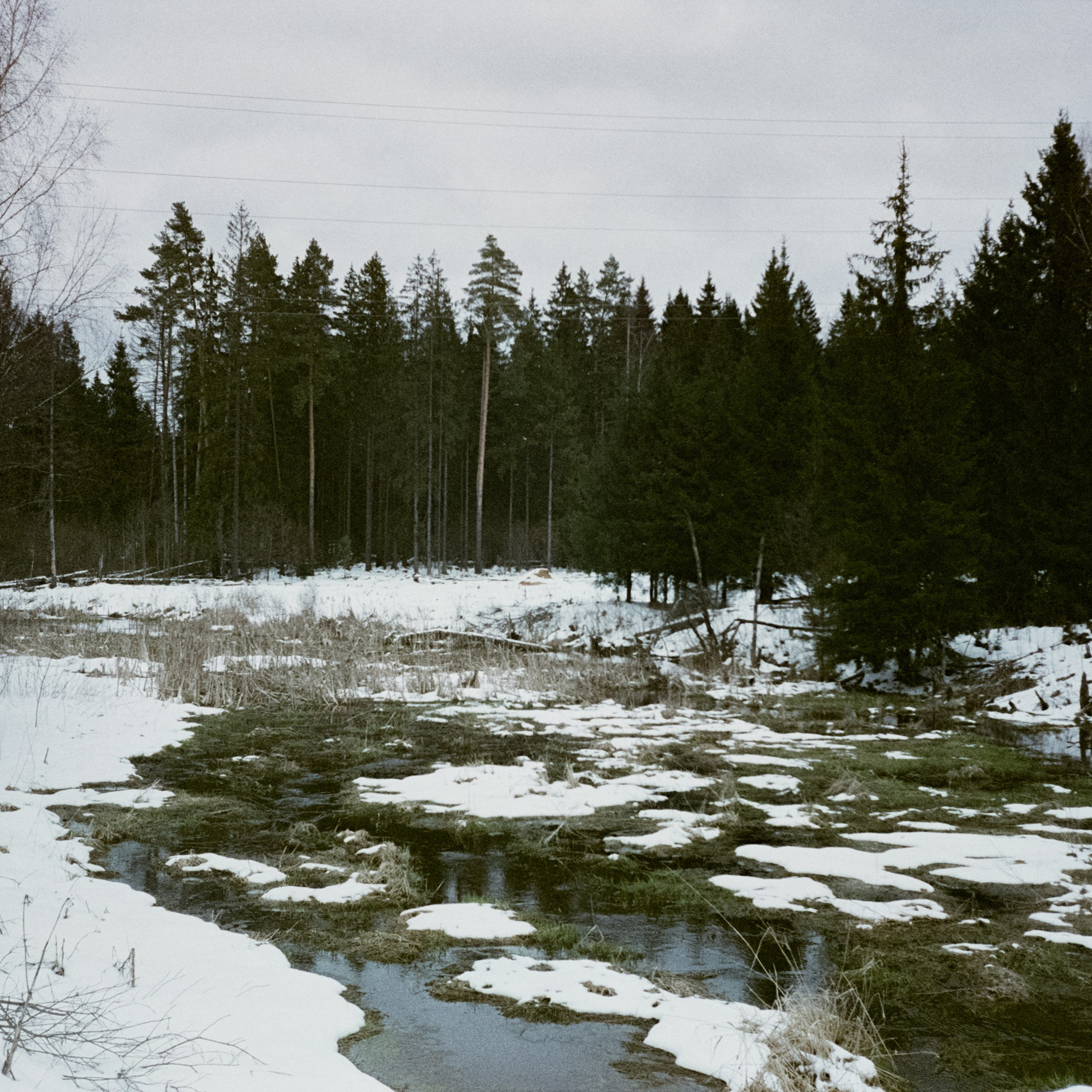 Olympus Mju II | Fujicolor Superia X-tra 400 (просрочка) @ ISO 100