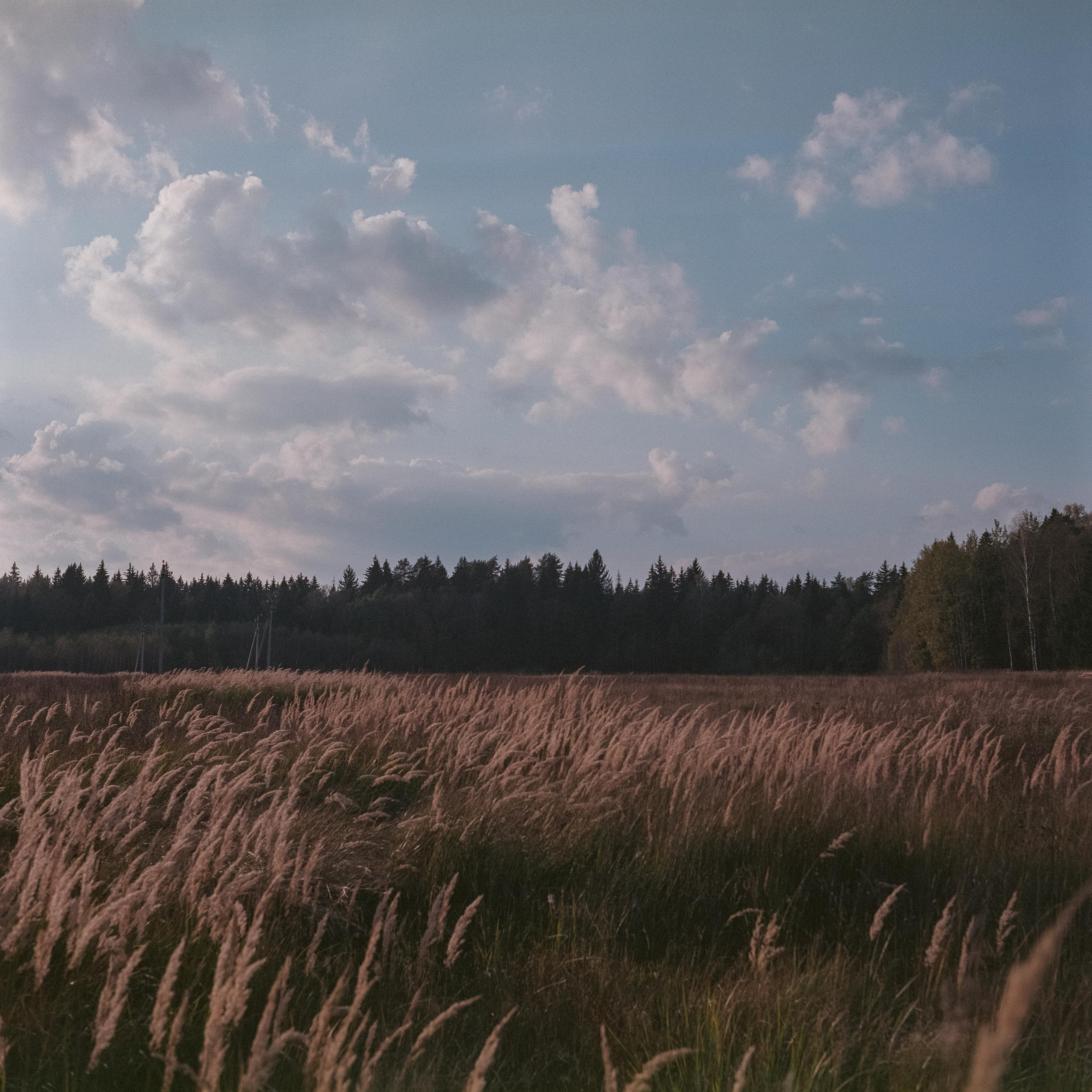 Super Fujica-6 / Fujifilm NPL 160