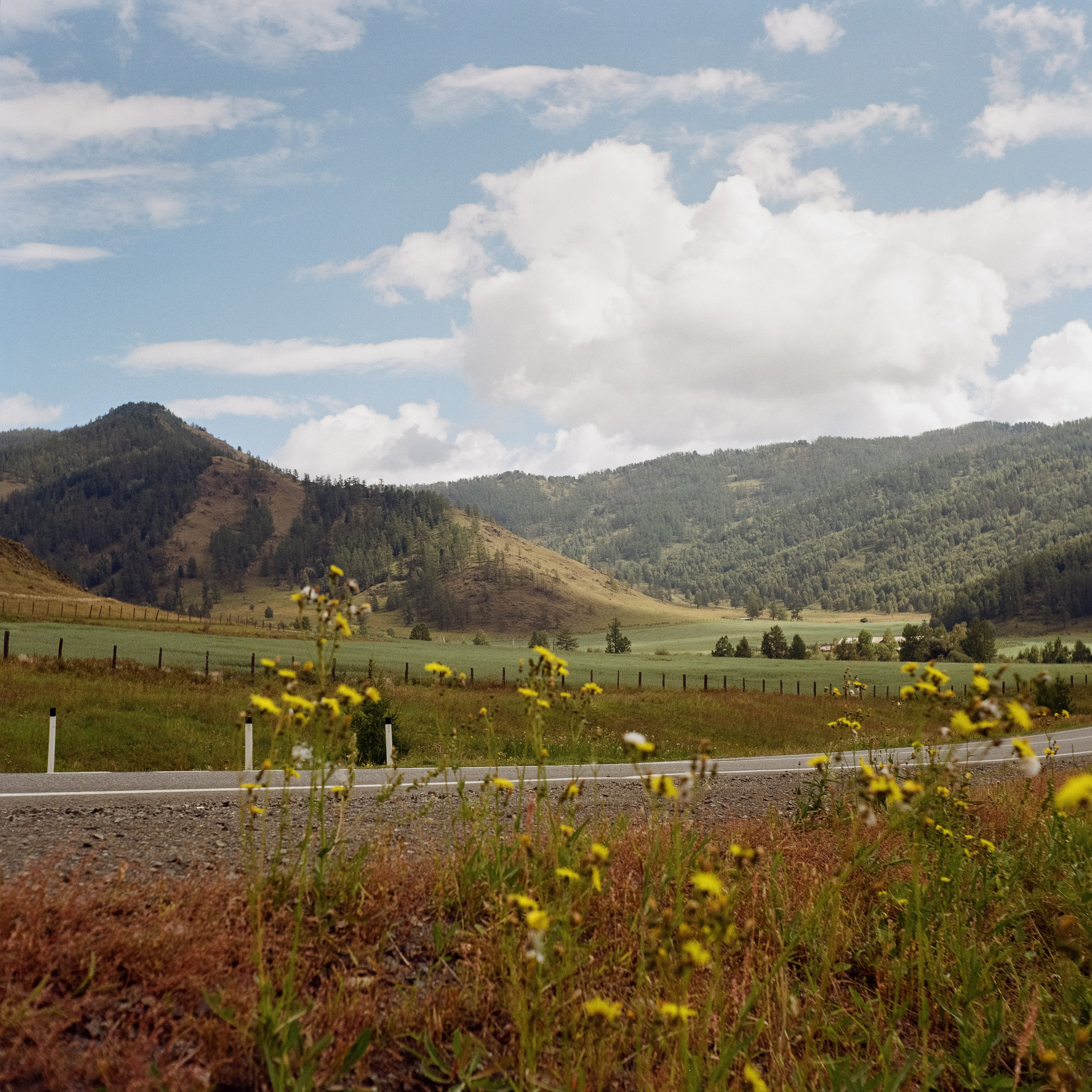Семинский перевал, база Сила Алтая / 30 августа — 2 сентября 2024 года