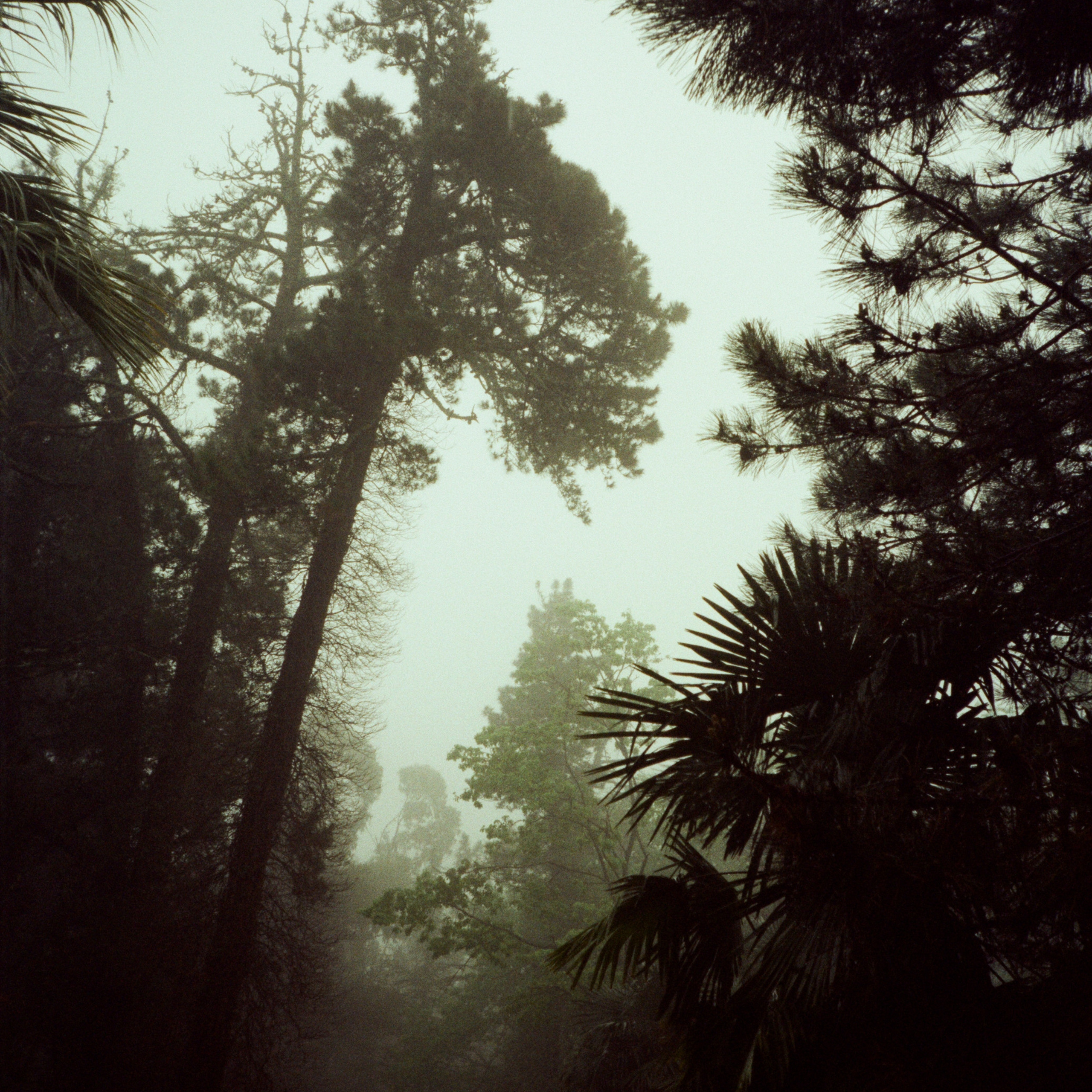 Дача Сталина и закаты в Сочи / Revue 35 CC