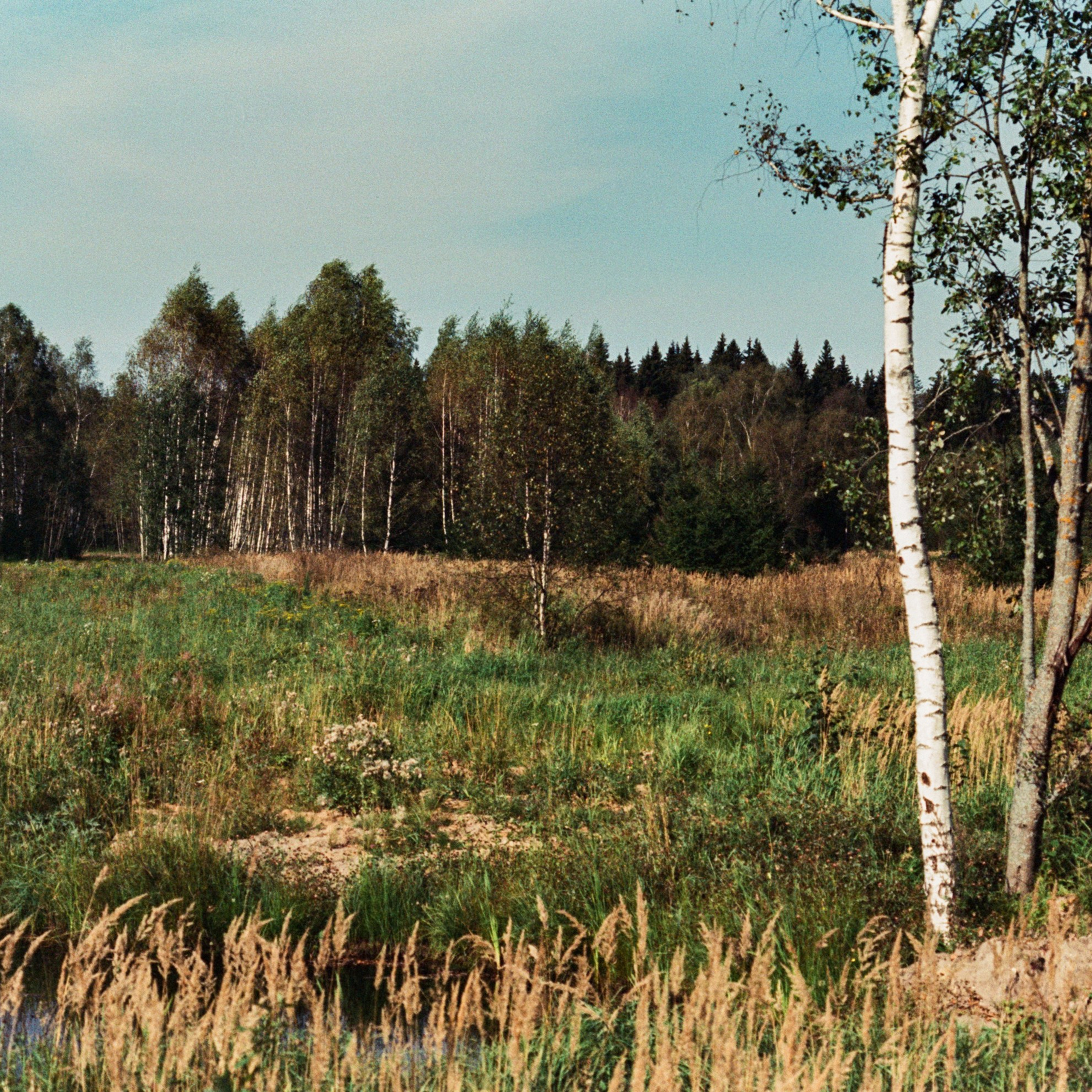 Nikon F100 — Micro-Nikkor-P.C Auto 55 mm f3.5 | SFL 250D | Сентябрь 2025 года