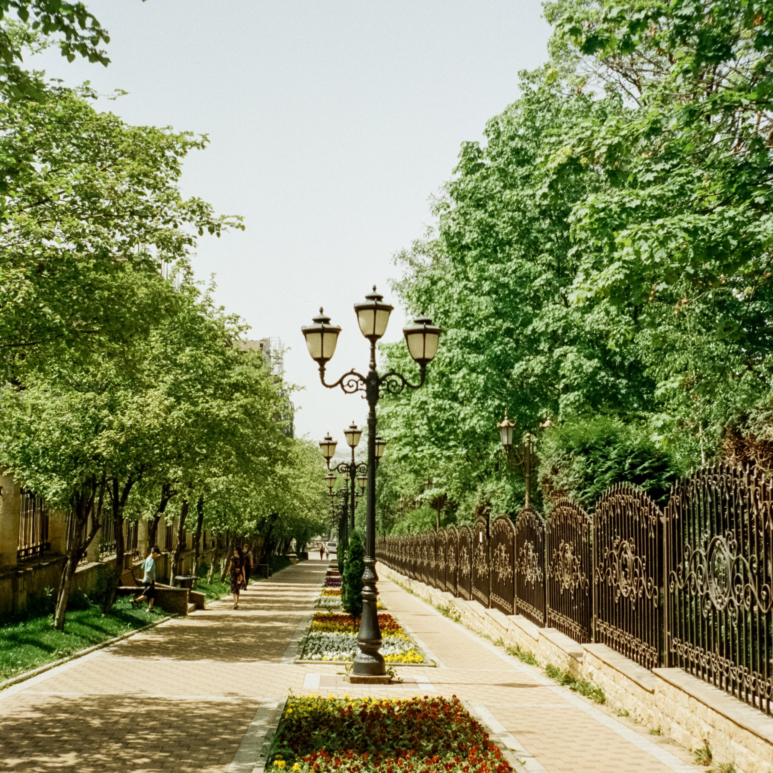 Первый день — прогулка по Кисловодску / Minox 35GT / SFL 250D