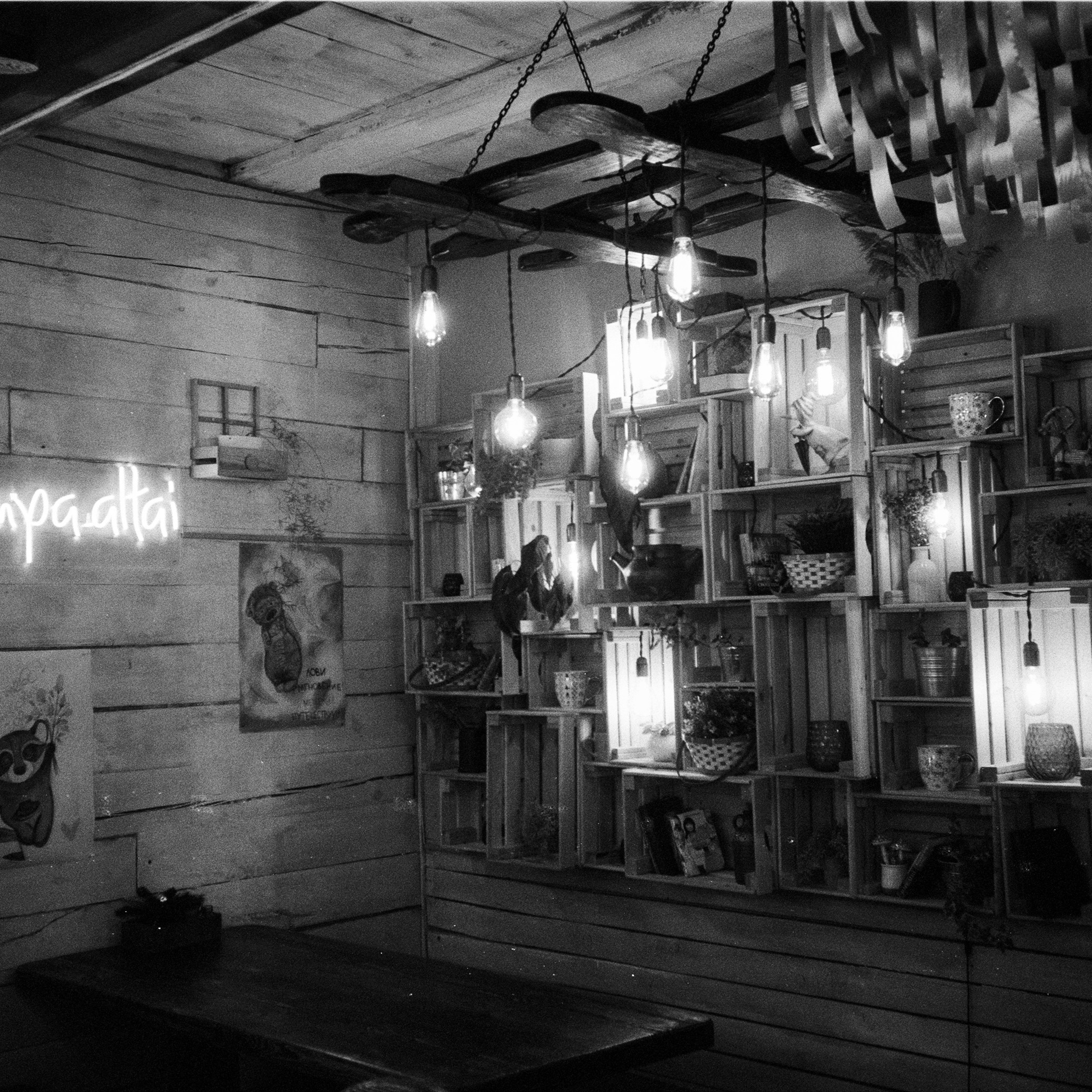 Olympus AF-10 SUPER / Ilford PAN 400 / Алтай, зима 2023 год