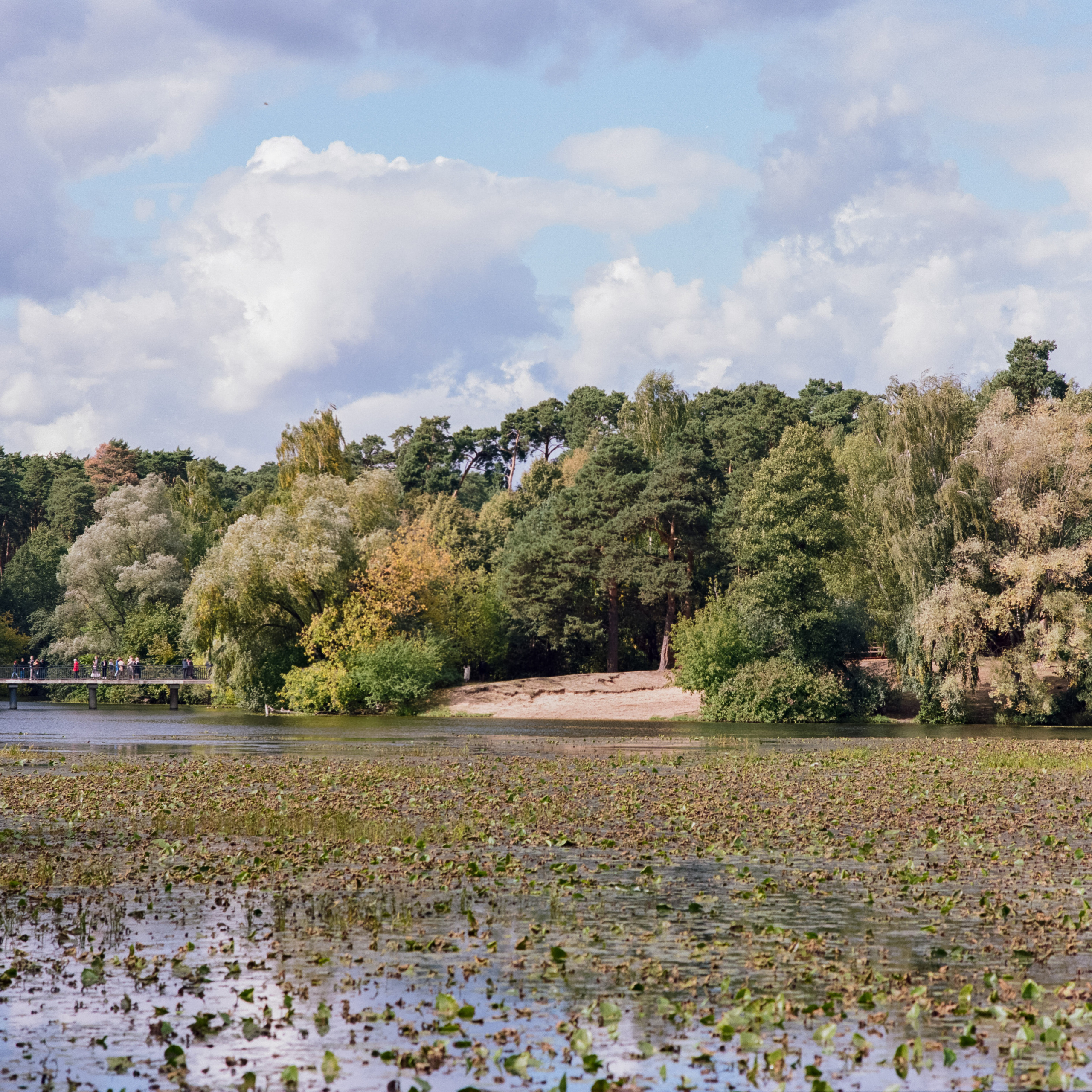 Zenza Bronica ETR — Zenzanon 150 f3.5 / Kodak Portra 160