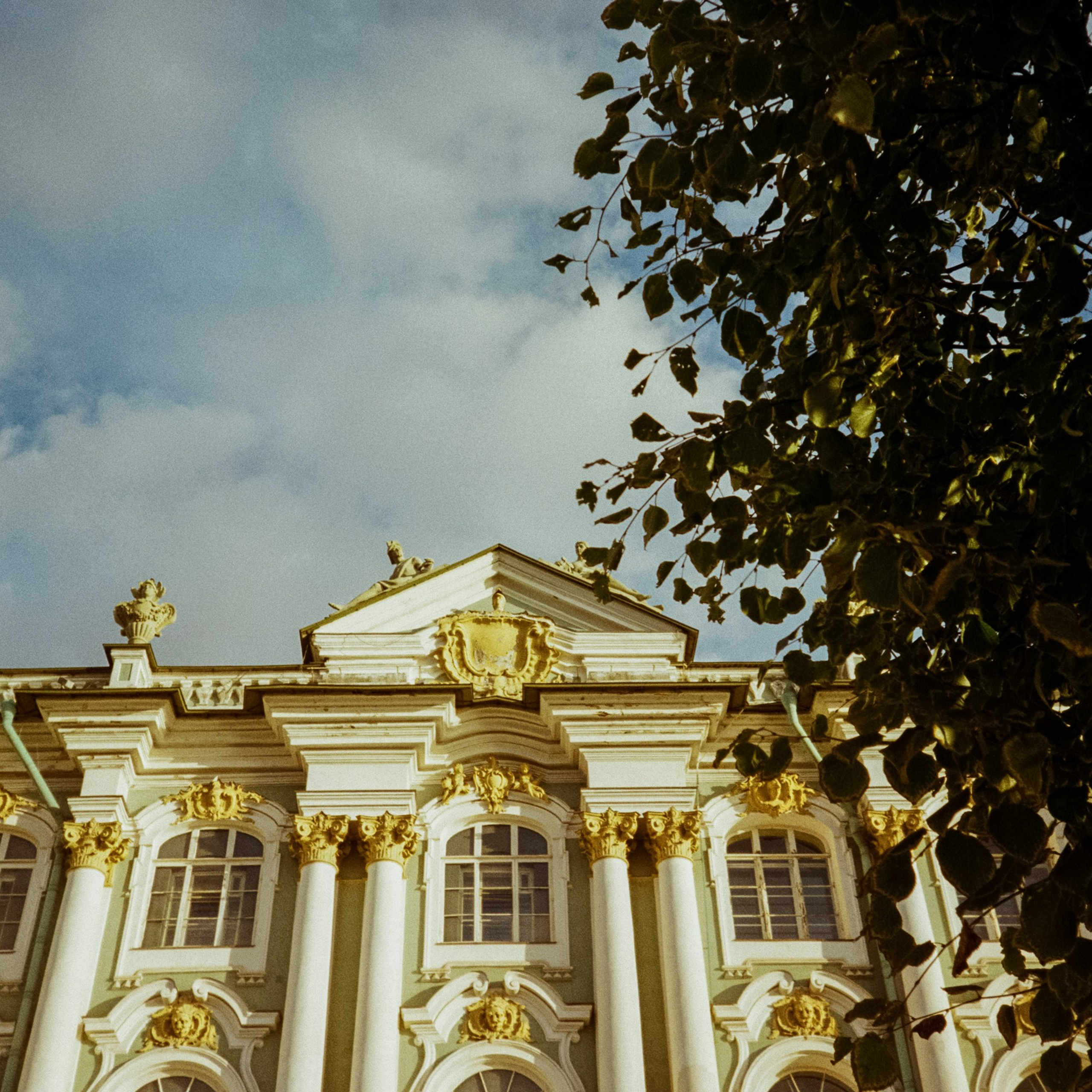 Cosina CX-1 | Kodak Gold 200 | Питер 17 сентября 2025 года