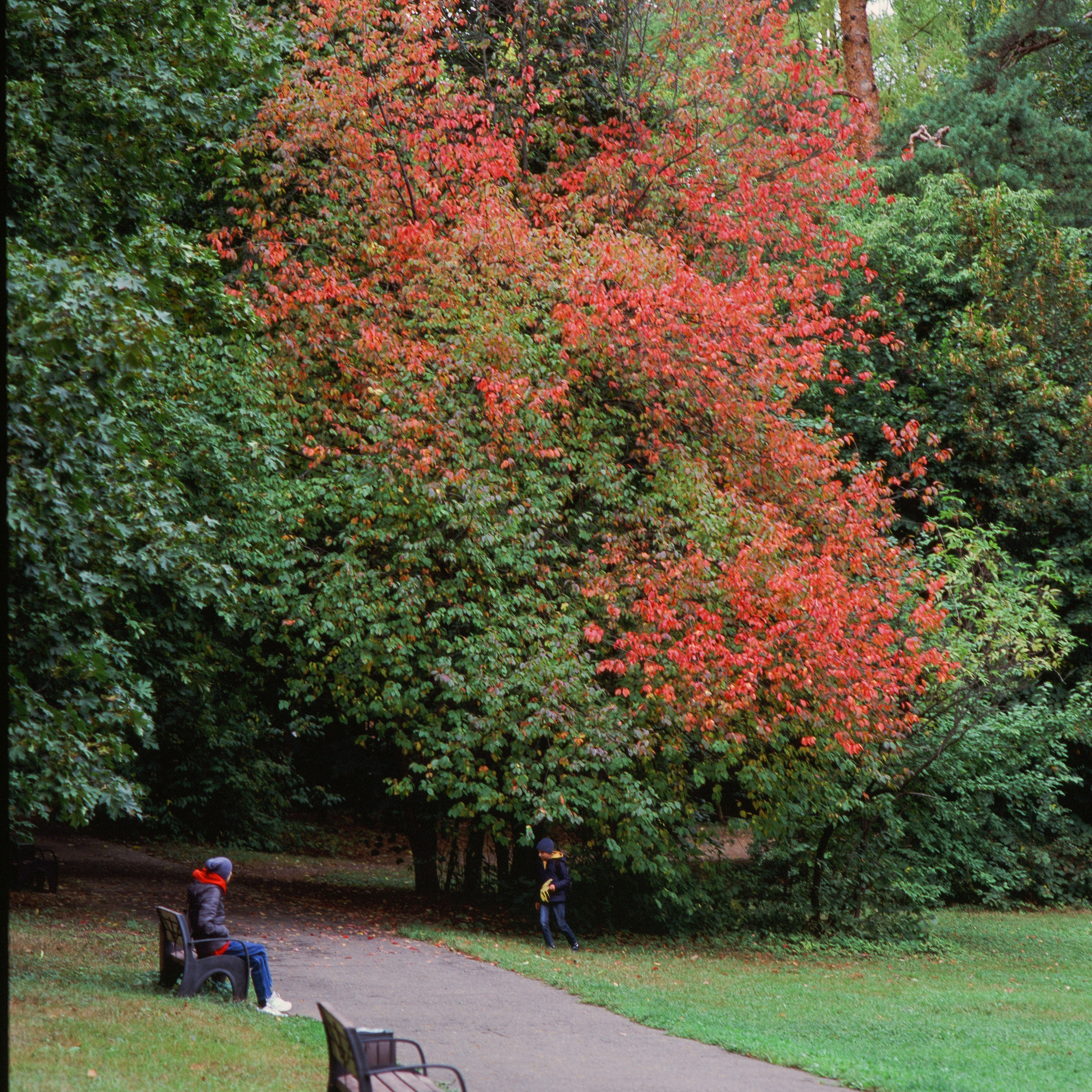 Zenza Bronica ETR — Zenzanon 150 f3.5 / Fujichrome Velvia 100