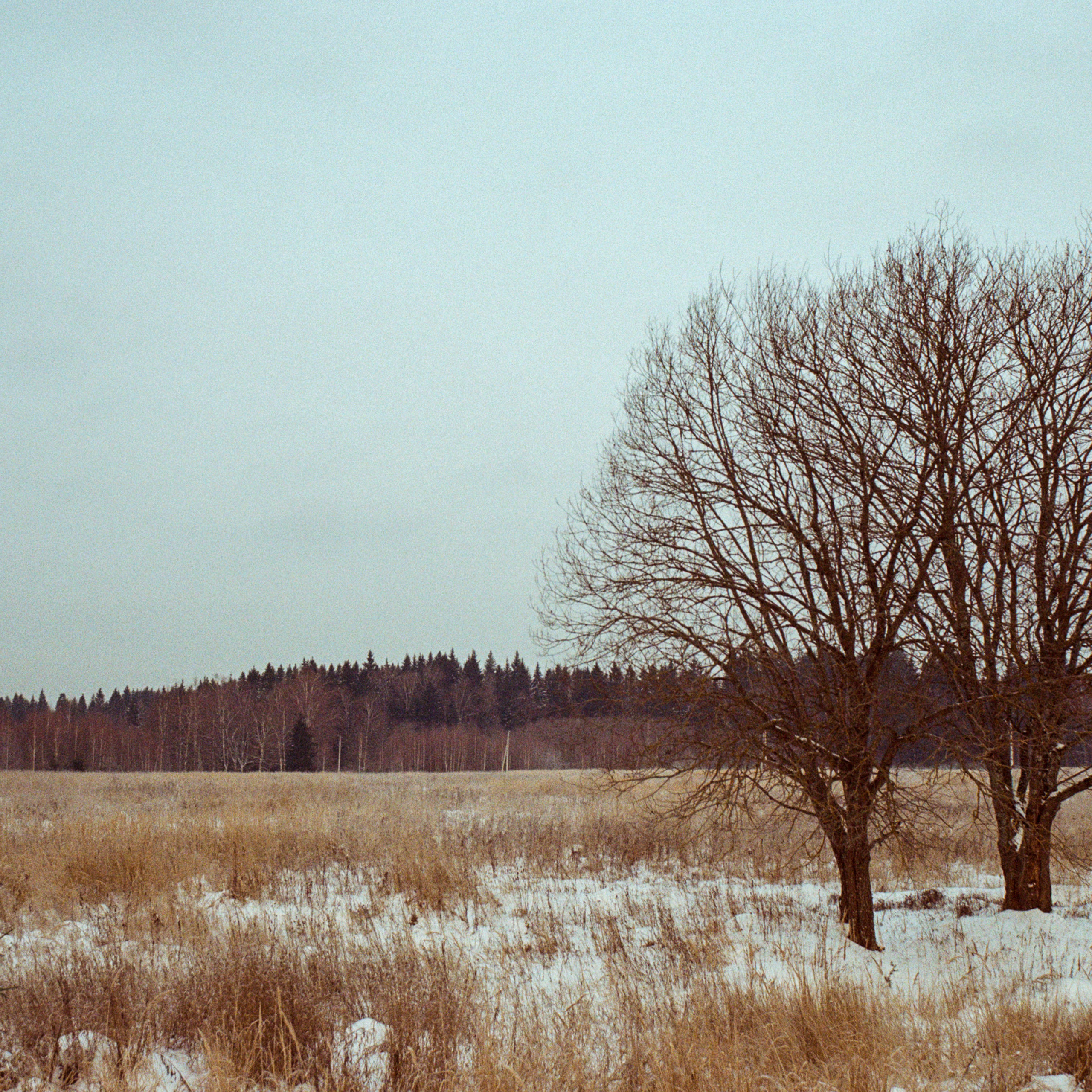 Contax N1 — Carl Zeiss Vario-Sonnar 24-85mm / Kodak Color 200