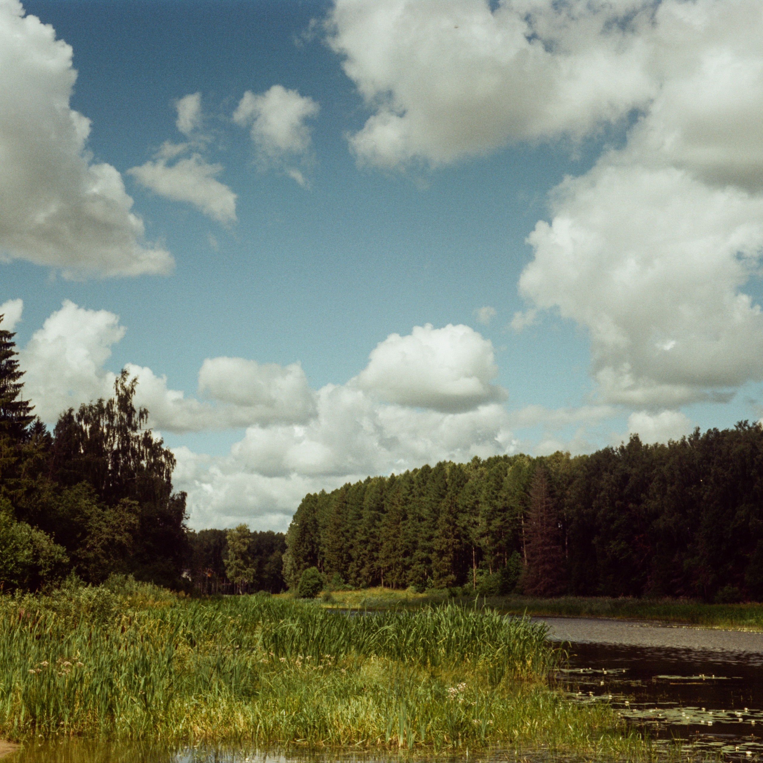 Canon Canonet QL17 G-III QL