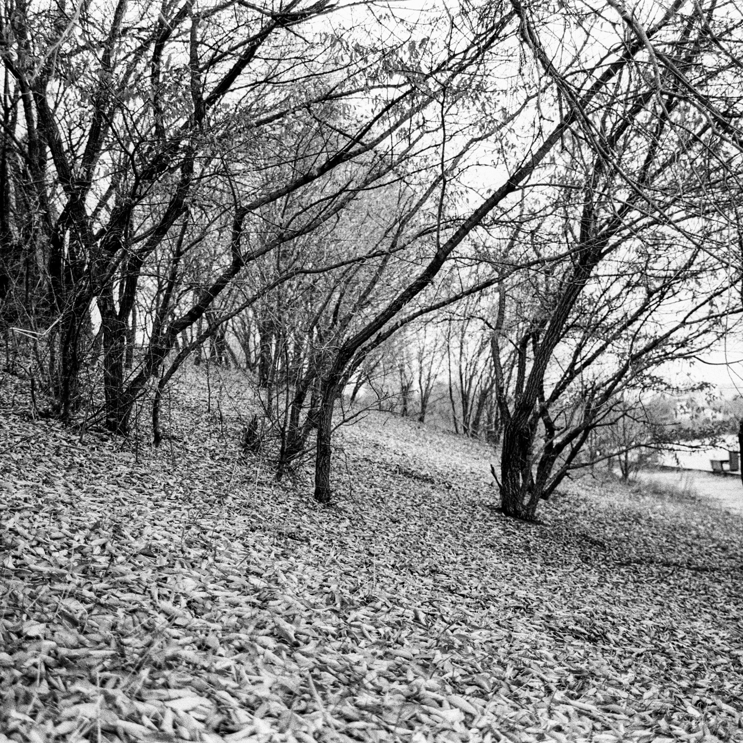 Nikon F80 — Voigtlander Ultron 28-105mm f2.8-3.8 / SFL T-42 ISO 400