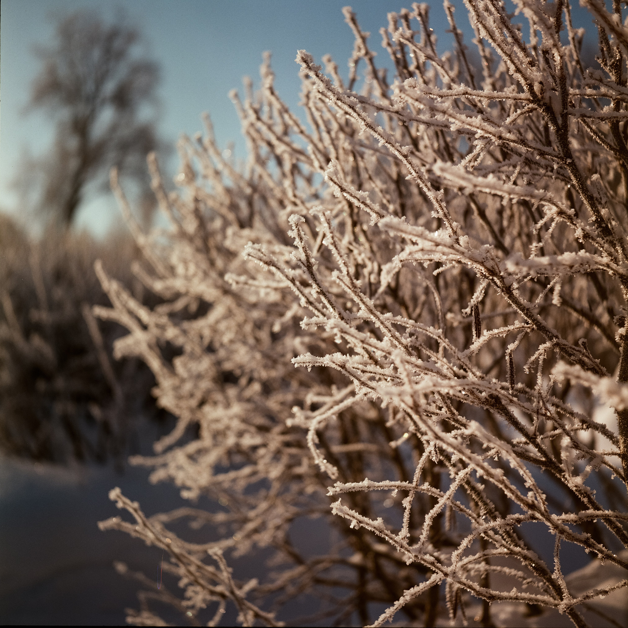 Фотография на средний формат
