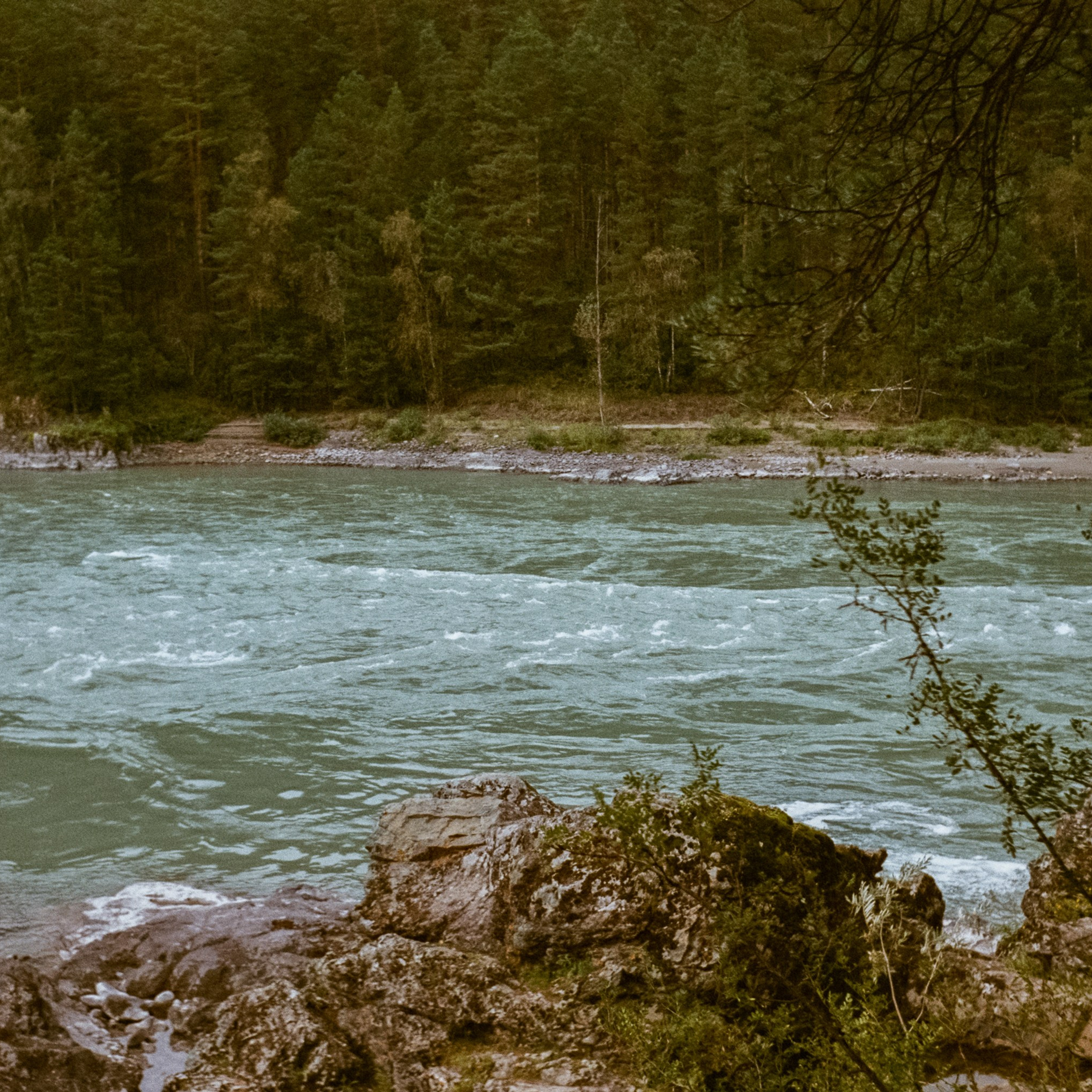 База Тихий Берег / 6 сентября 2024 года / Minox 35 GT (2) / Agfacolor 100 @ISO 50