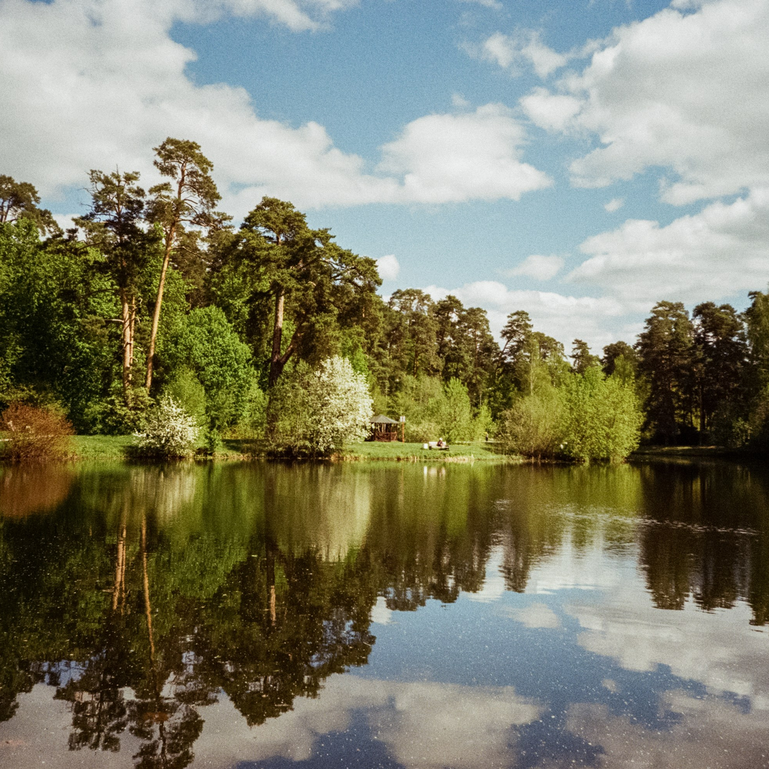 Ricoh R1 | Kodak ProImage 100 | 6 мая 2025 года СерБор