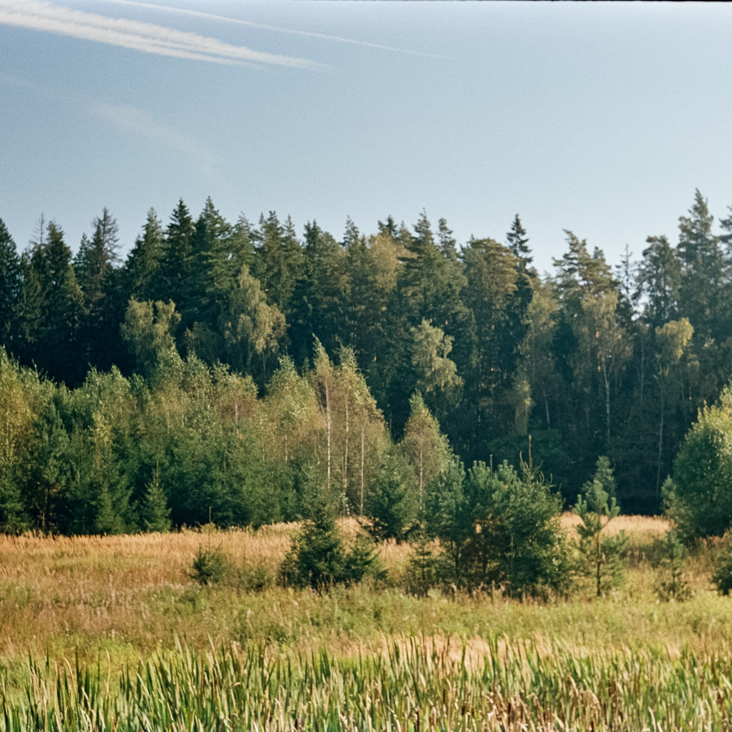 Edixa-MAT REFLEX Mod.D | Carl Zeiss Jena Biotar 58 mm f2 T | SFL 250D