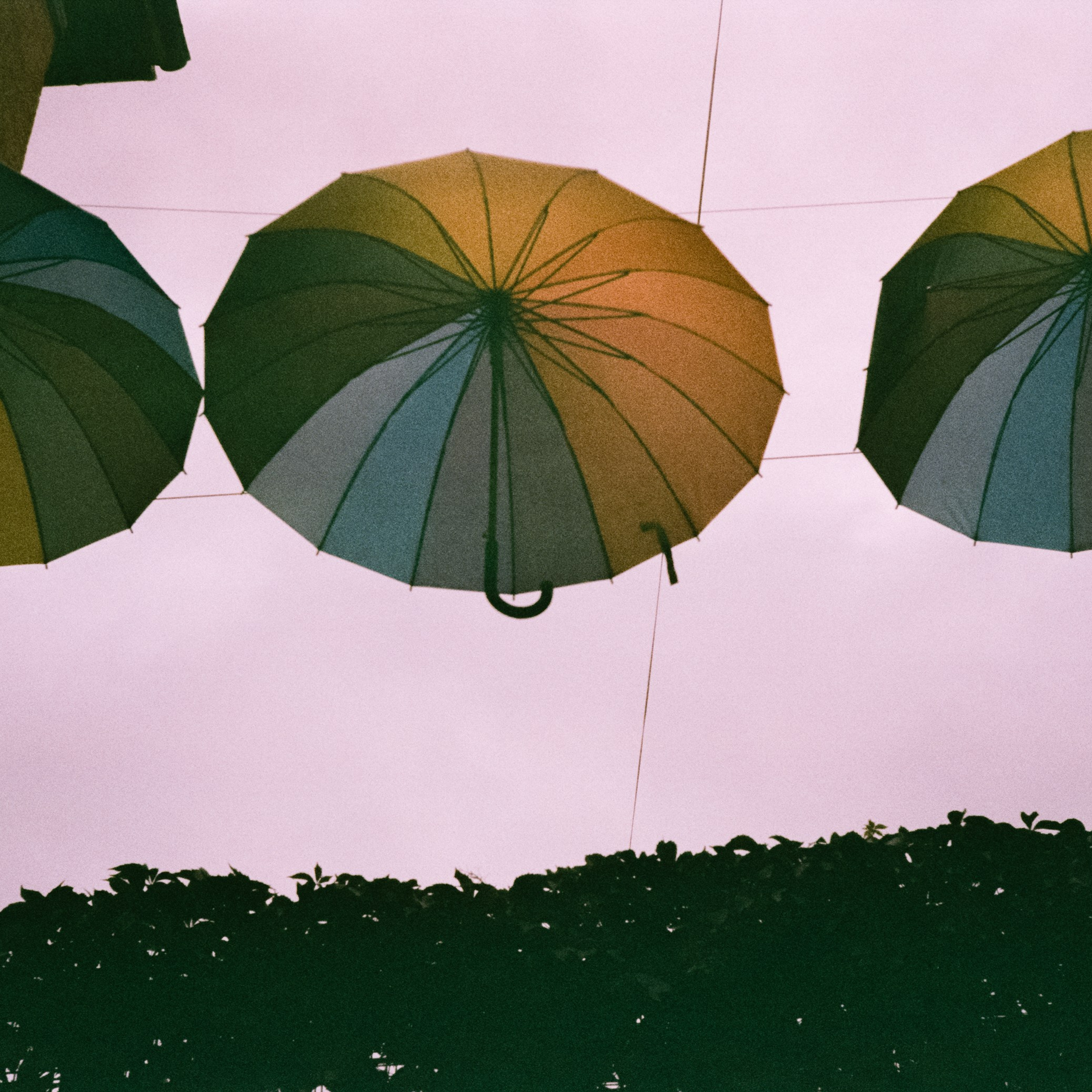 3 июля 2024 года Зеленоградск, Курортный проспект, ул. Московская / Agfa Optima Sensor 1035