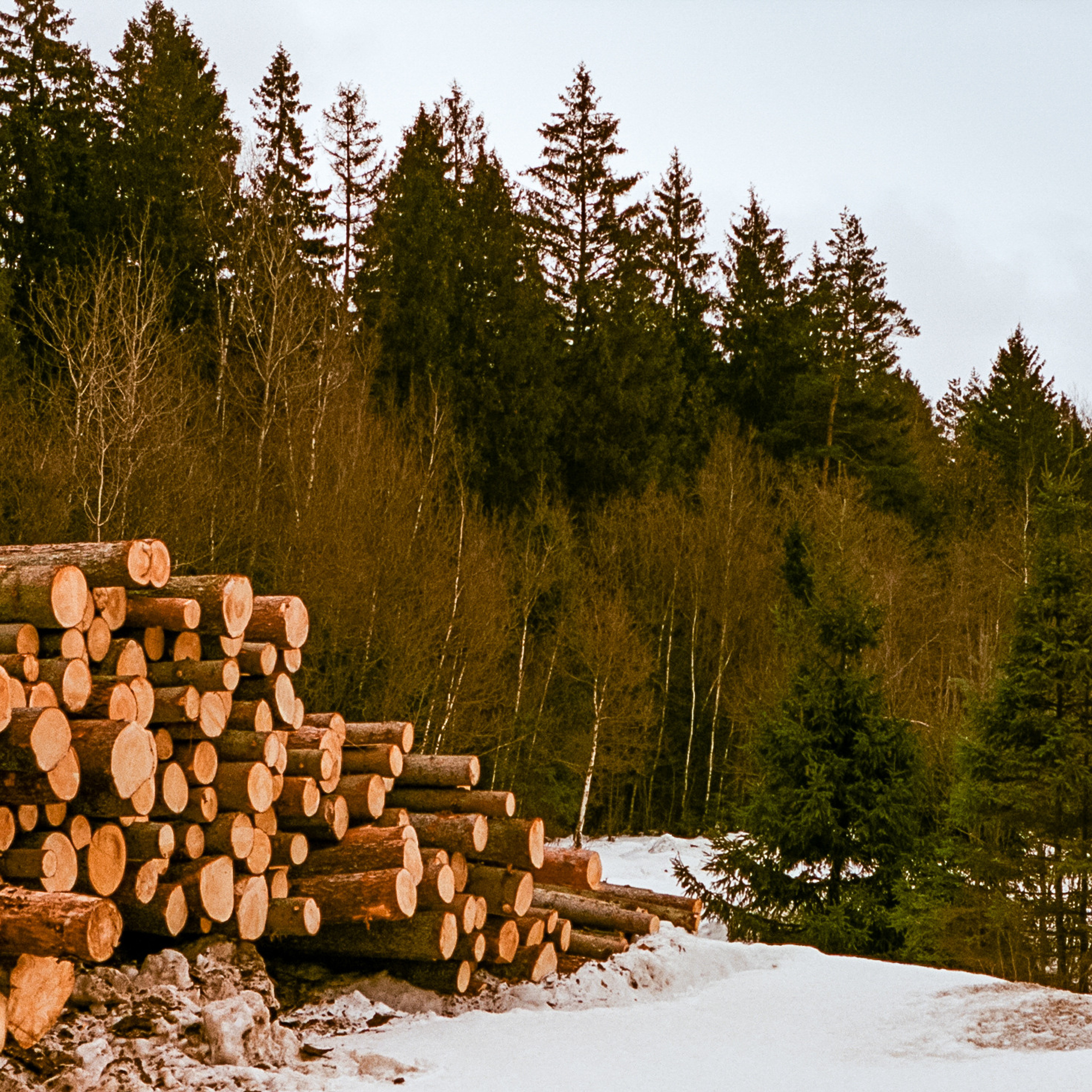 Kodak Aerocolor IV / Olympus Pen FT