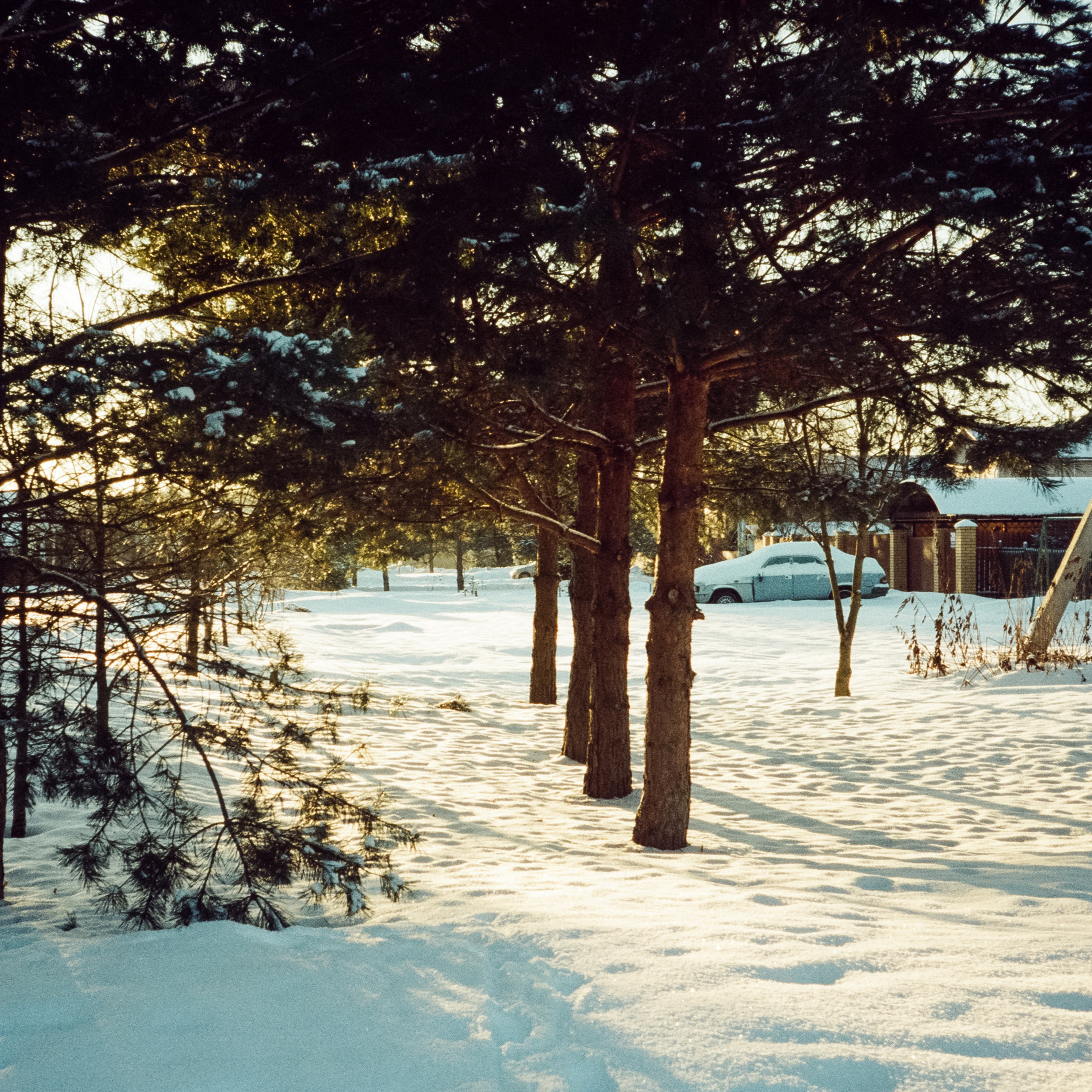 Kodak Vision 3 250D / Revue 35CC