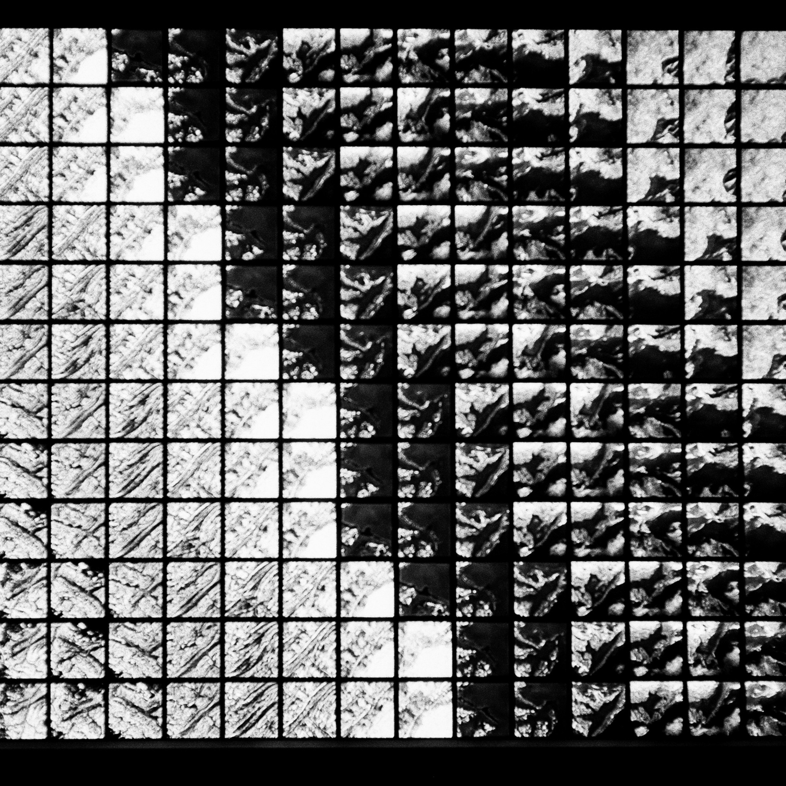 Выставка в Мультимедиа Арт Музее