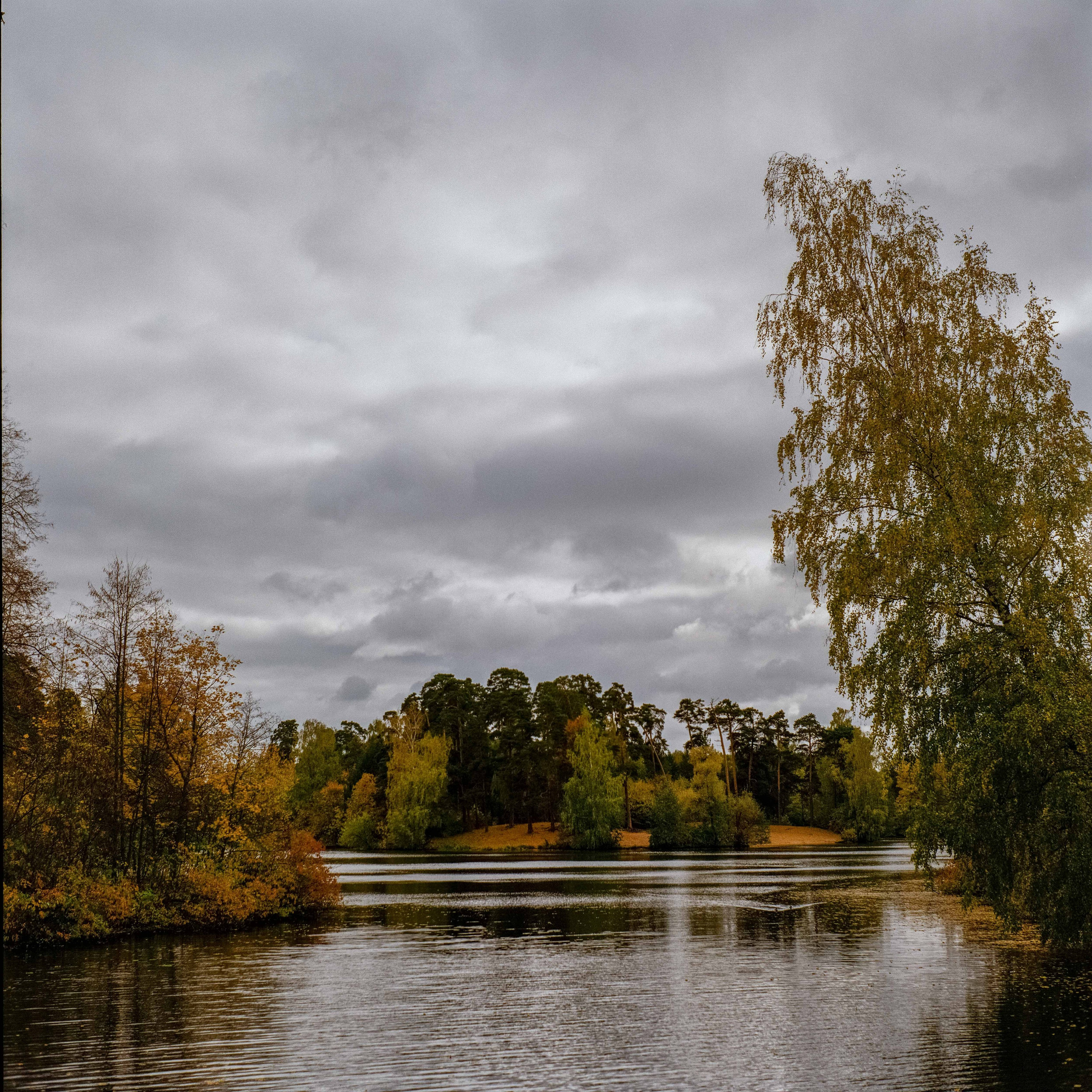 Обзор фотоаппарата Yashica MAT 124G