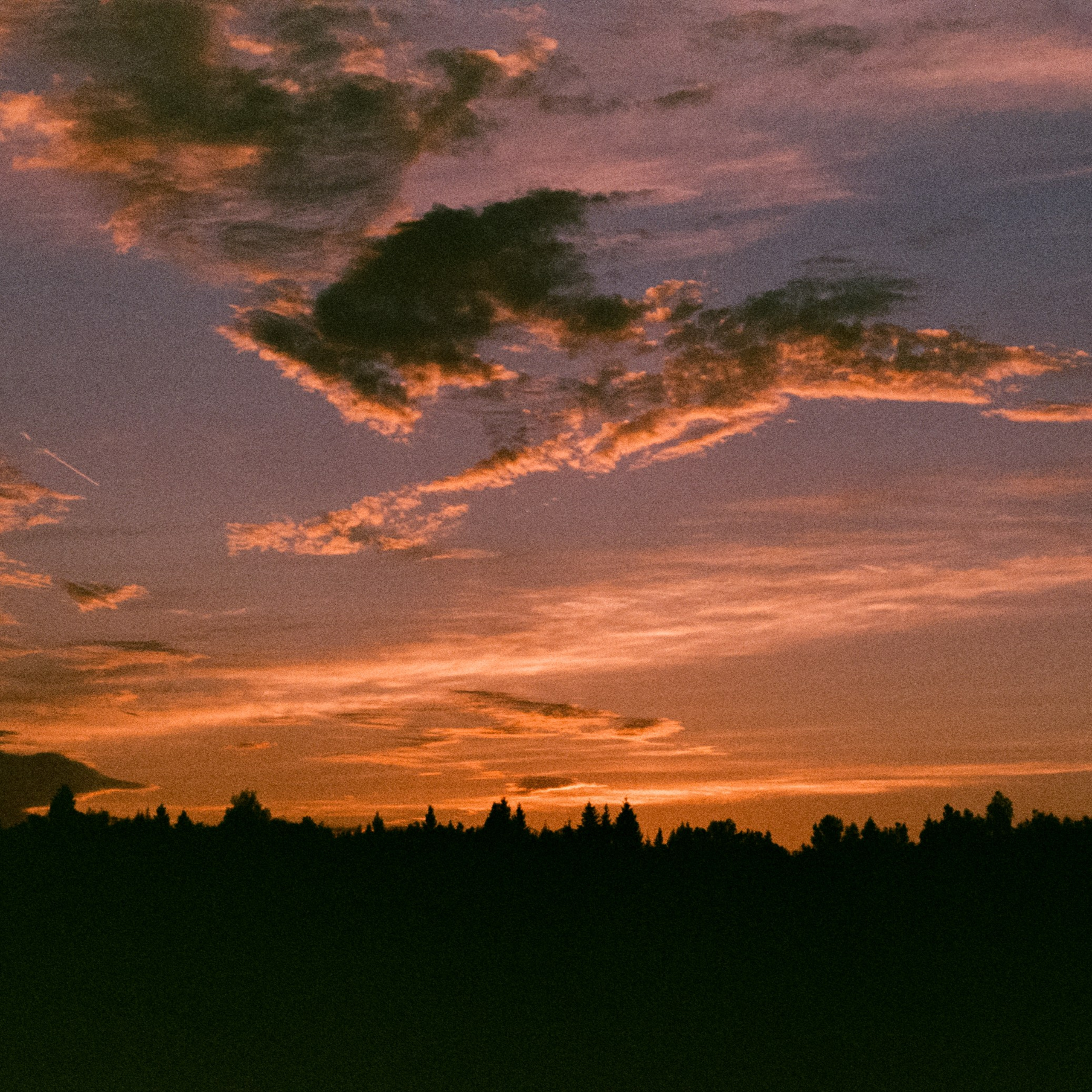 Nikon N90 / Объективы от mamiya 645 500 5.6 и 80 4 macro