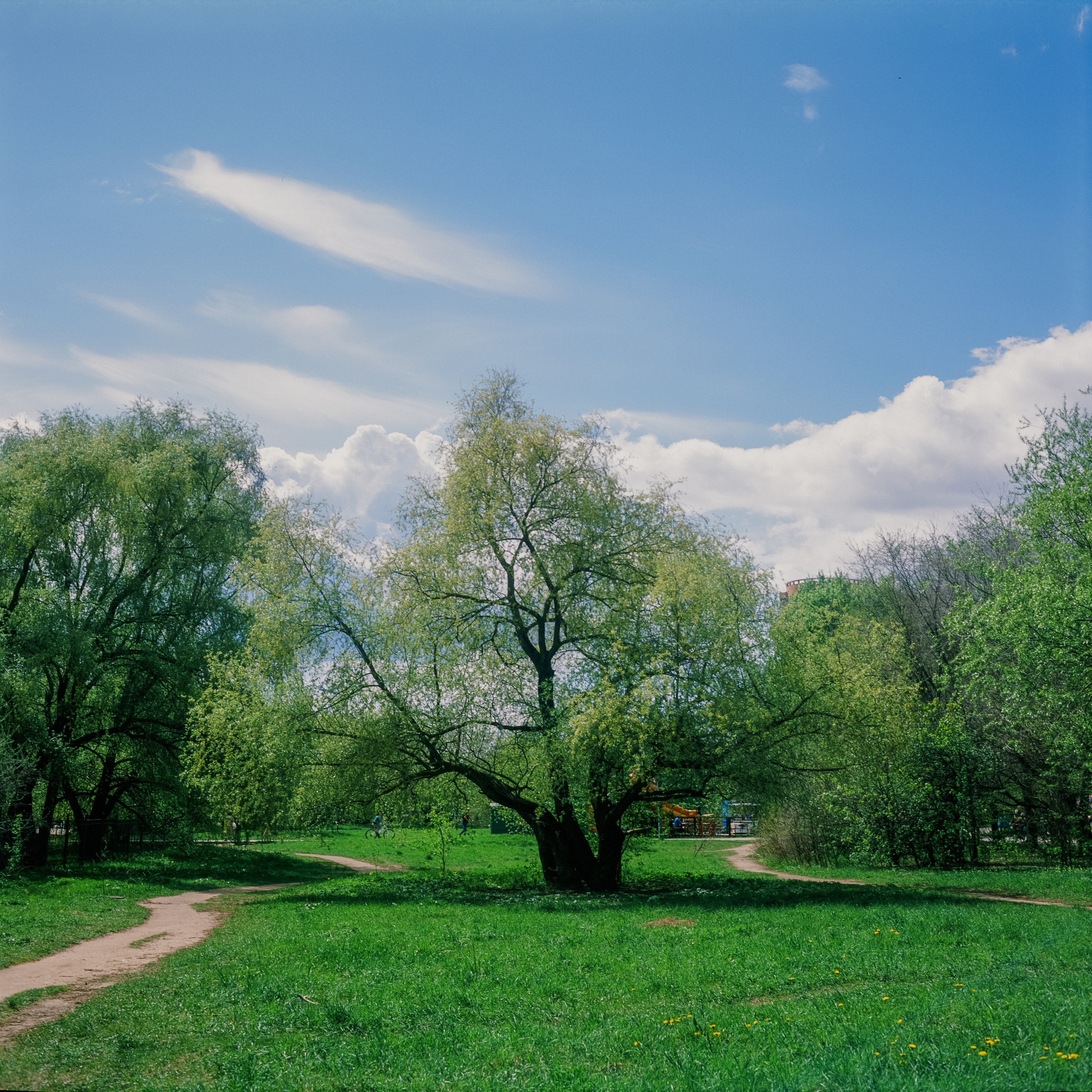 Super Fujica 6 / Fujichrome Provia 100 °F