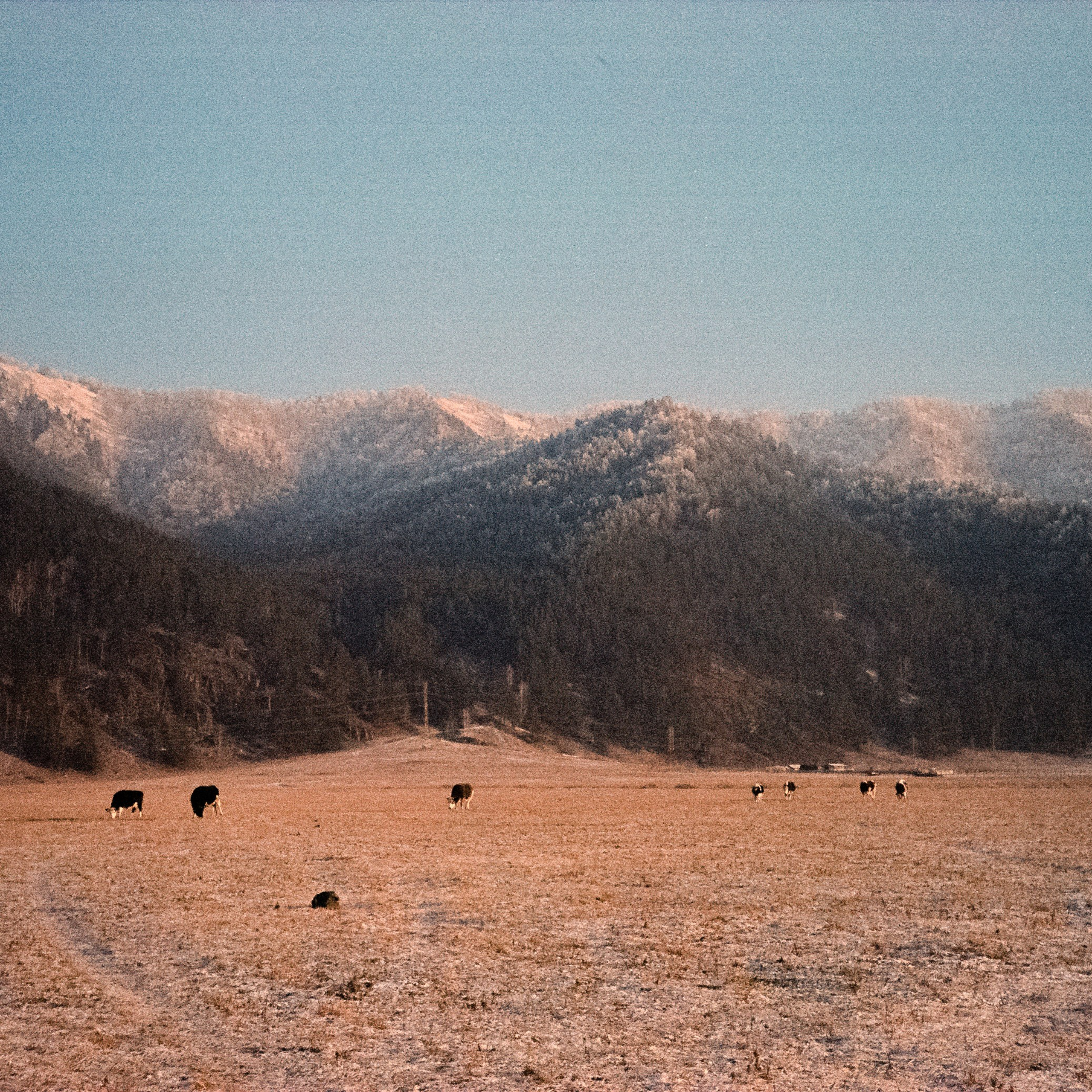 Поле у вертолетной площадки / 13 декабря 2023 года (-33℃)