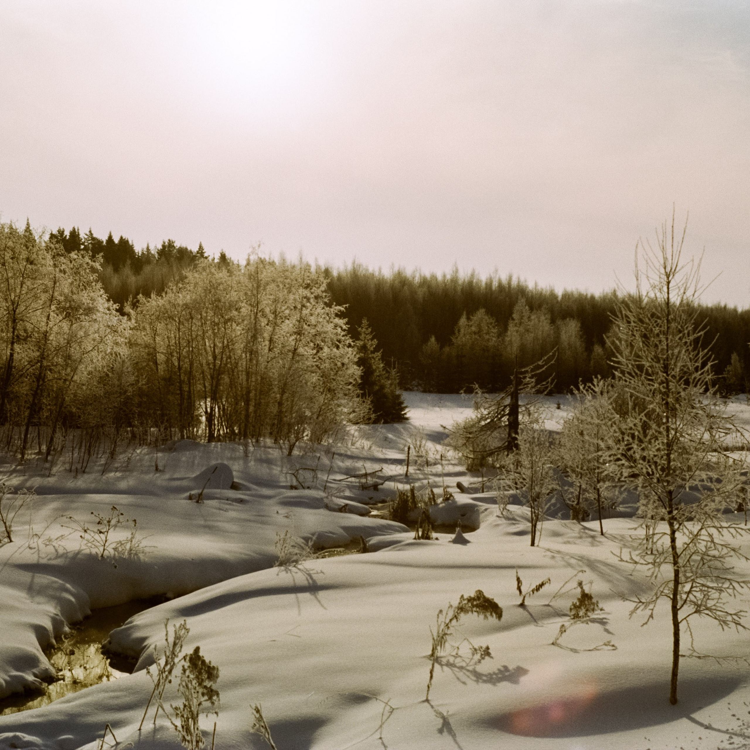 Pentax MZ-3 (1) объектив Schneider-Kreuznach Retina-Xenon 50 mm f/1.9 DKL