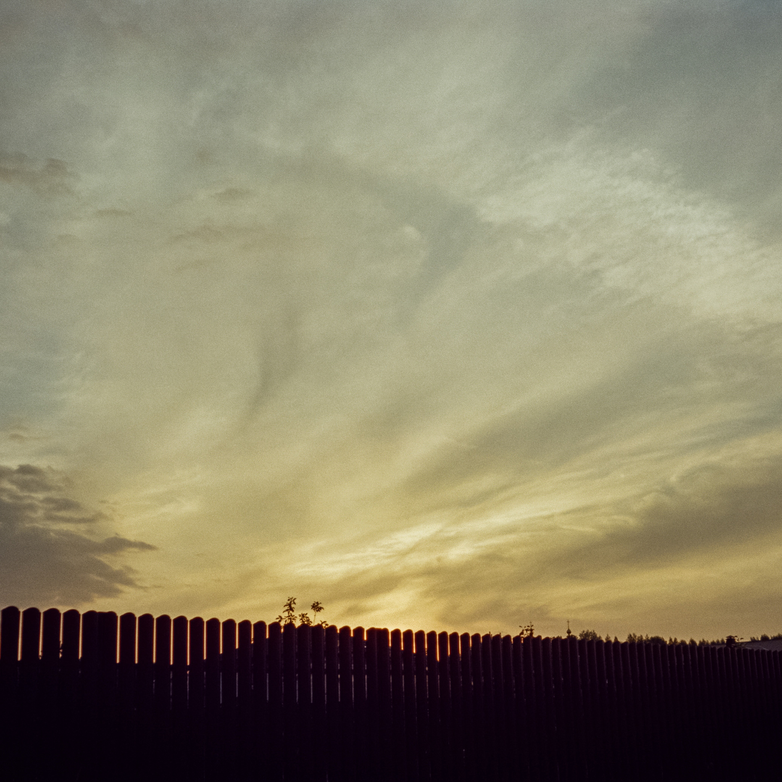 Canon Canonet QL17 G-III QL / Kodak Vision 3 250D