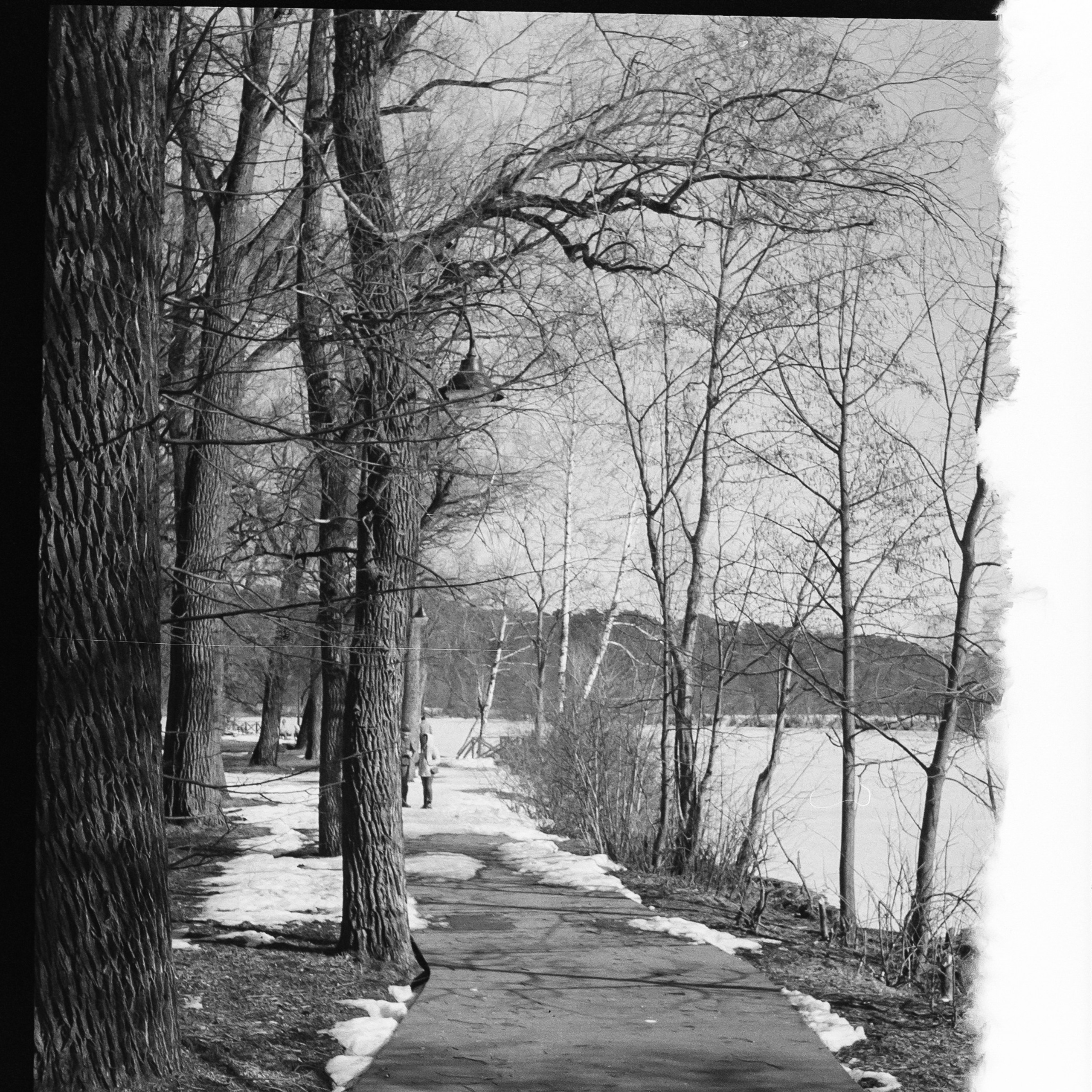 SFL UN 54 BW / Zeiss Ikon Tenax