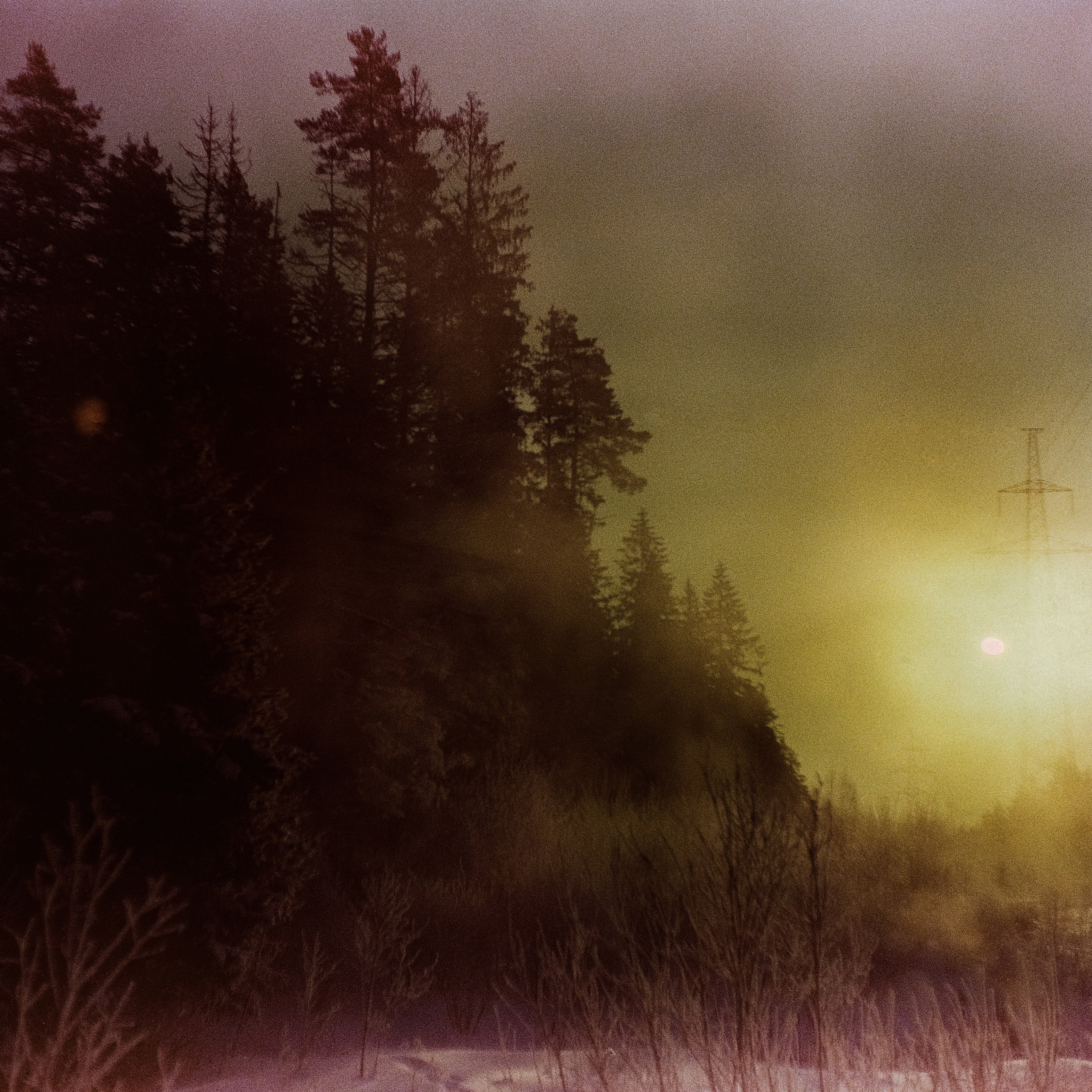 Kodak Ektachrome 64T / Franka Solida III / Архангельское, Лукино