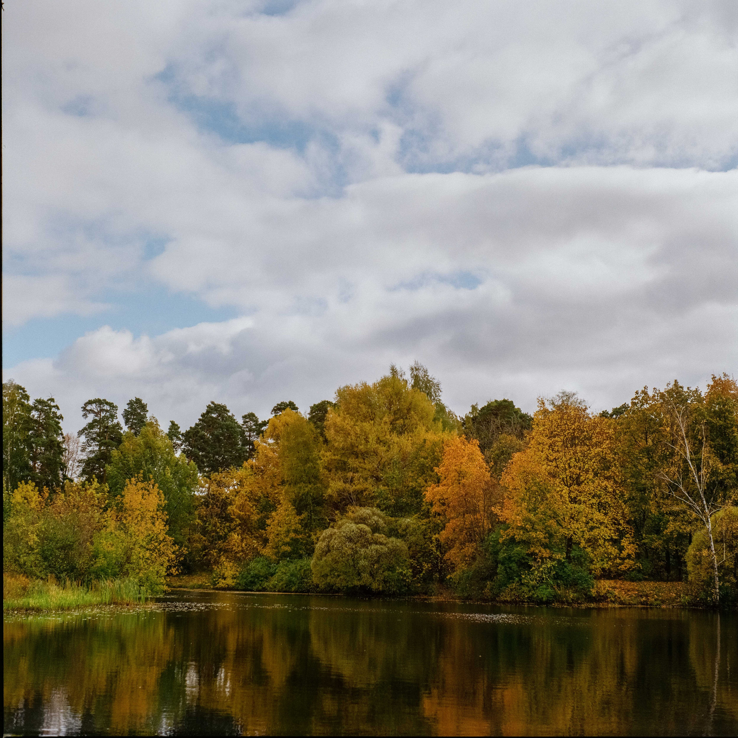 Обзор фотоаппарата Yashica MAT 124G