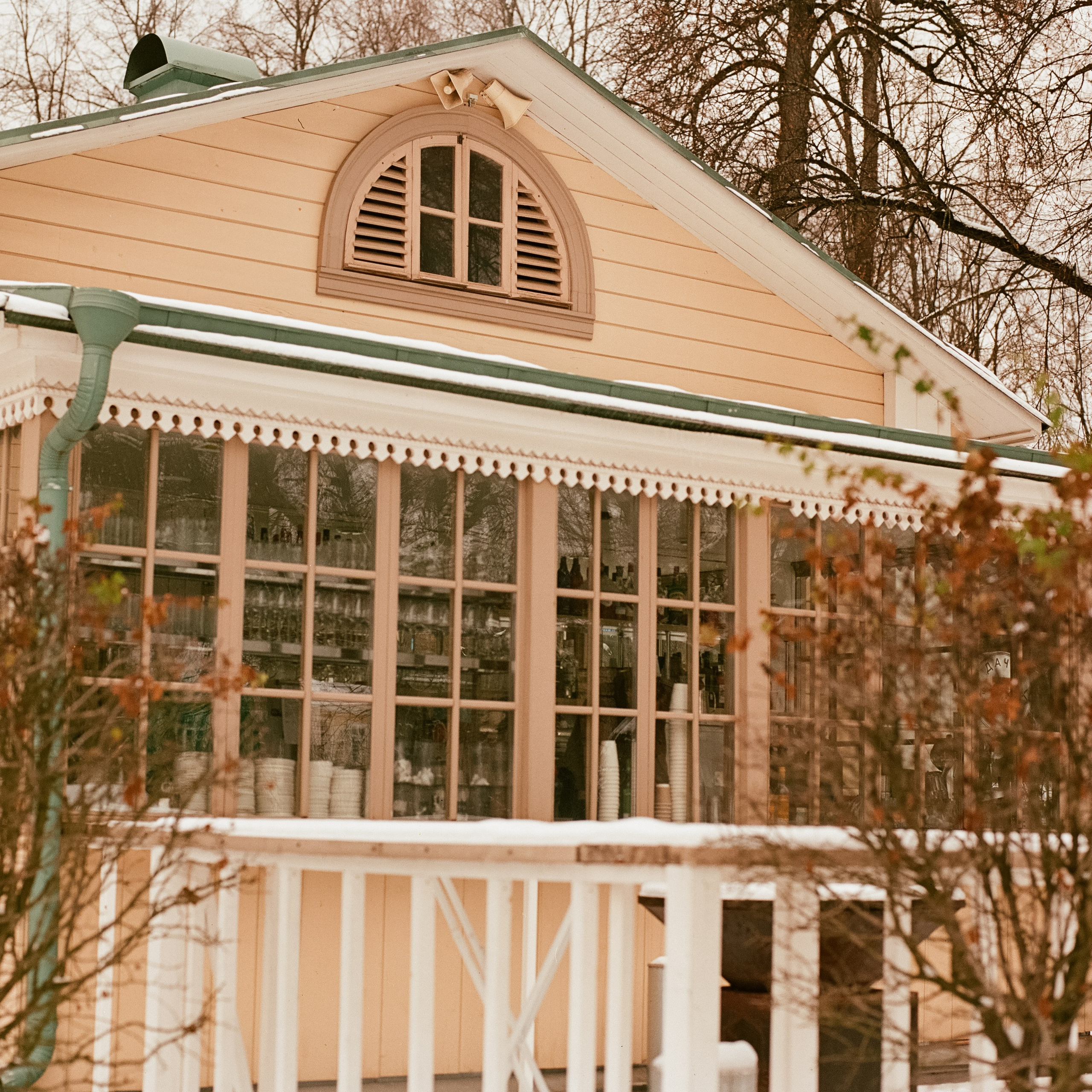 Mamiya 645 PRO — Mamiya-Sekor C 80 mm f1.9 / Aeronega ISO 100 (Aerocolor IV) / 6 января Усадьба Архангельское