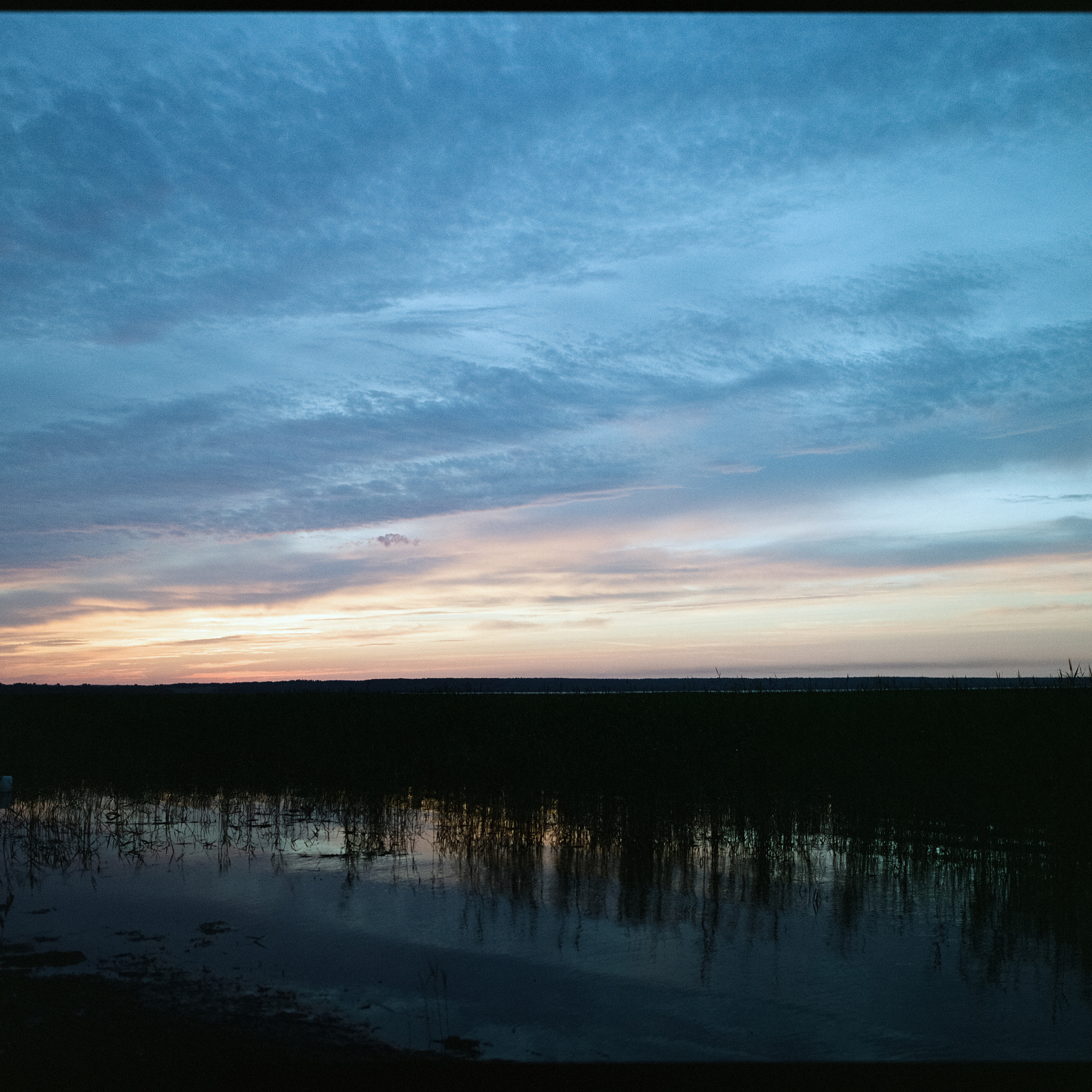 Озеро Отрадное (Приозерск) рано утром / Mamiya 645 PRO