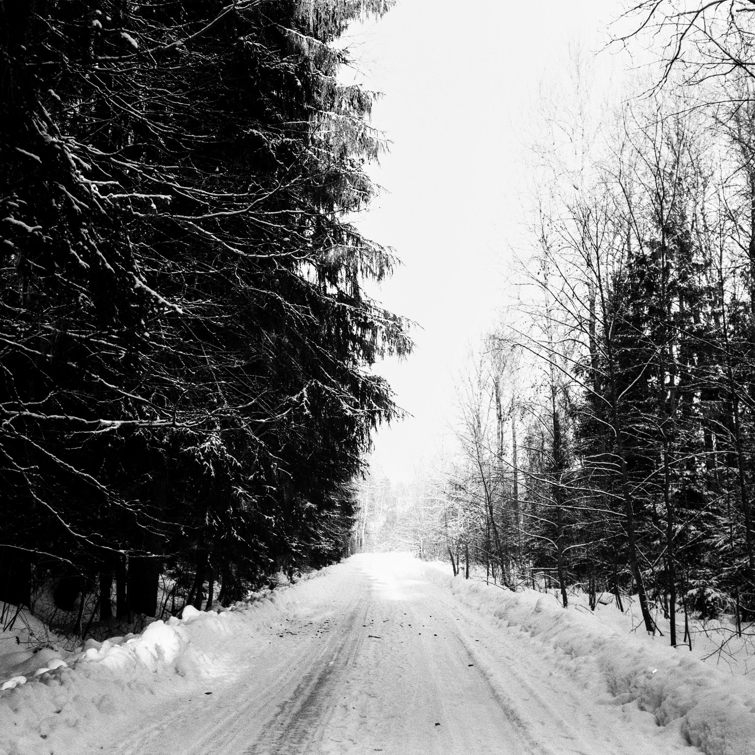 Nikon Action Touch (L35AW) / SFL T-25 / Давыдовское