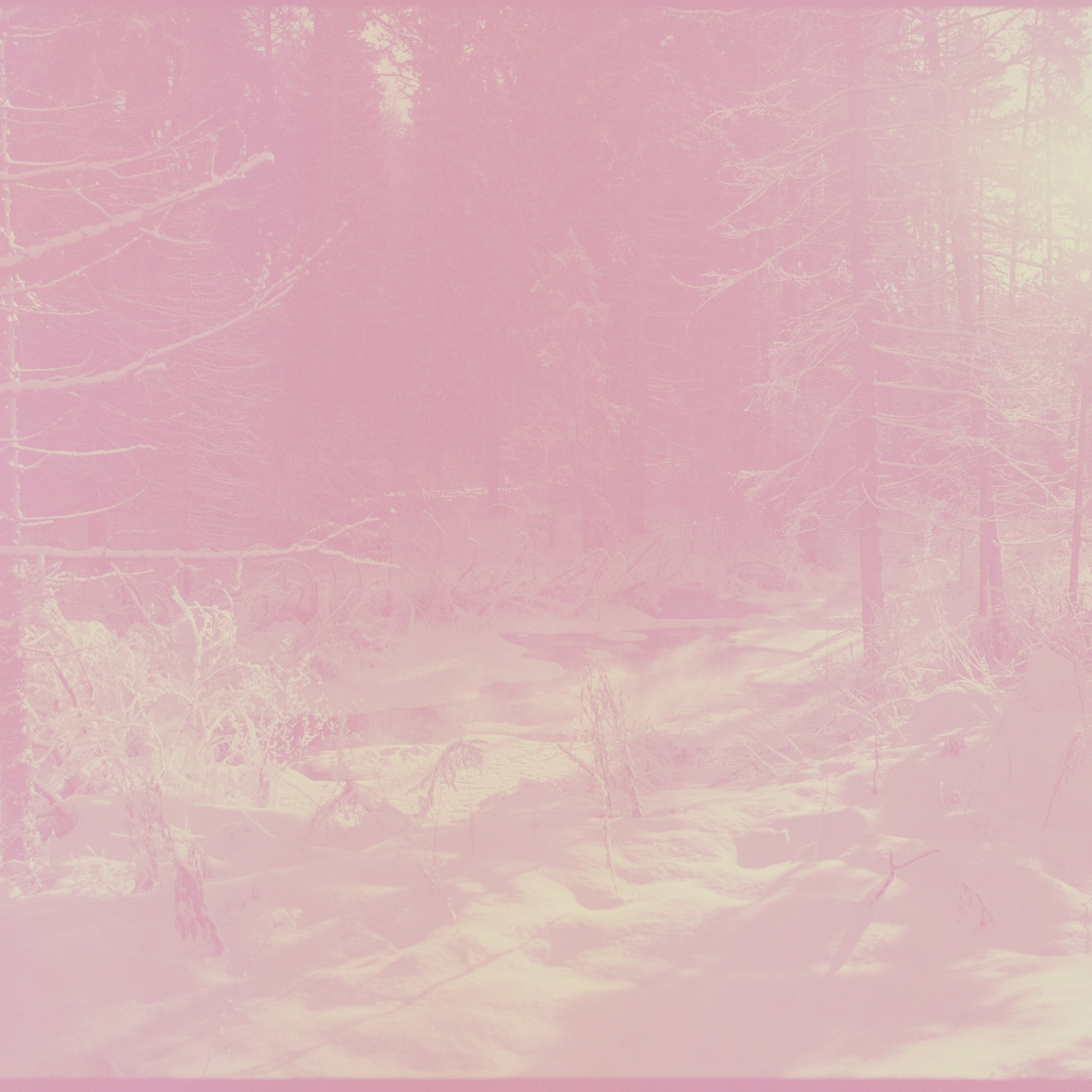 Kodak Ektachrome 64T (слайд просрочка) — в BW / Mamiya 645 PRO