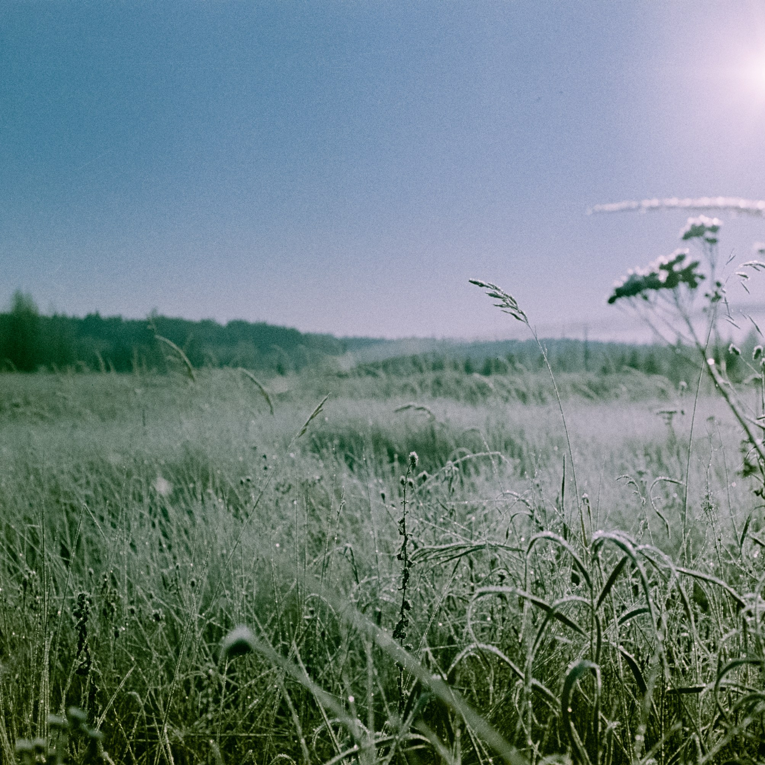 Minolta Hi-Matic 7sII / Kodak Color 200 (просрочка) / Лукино