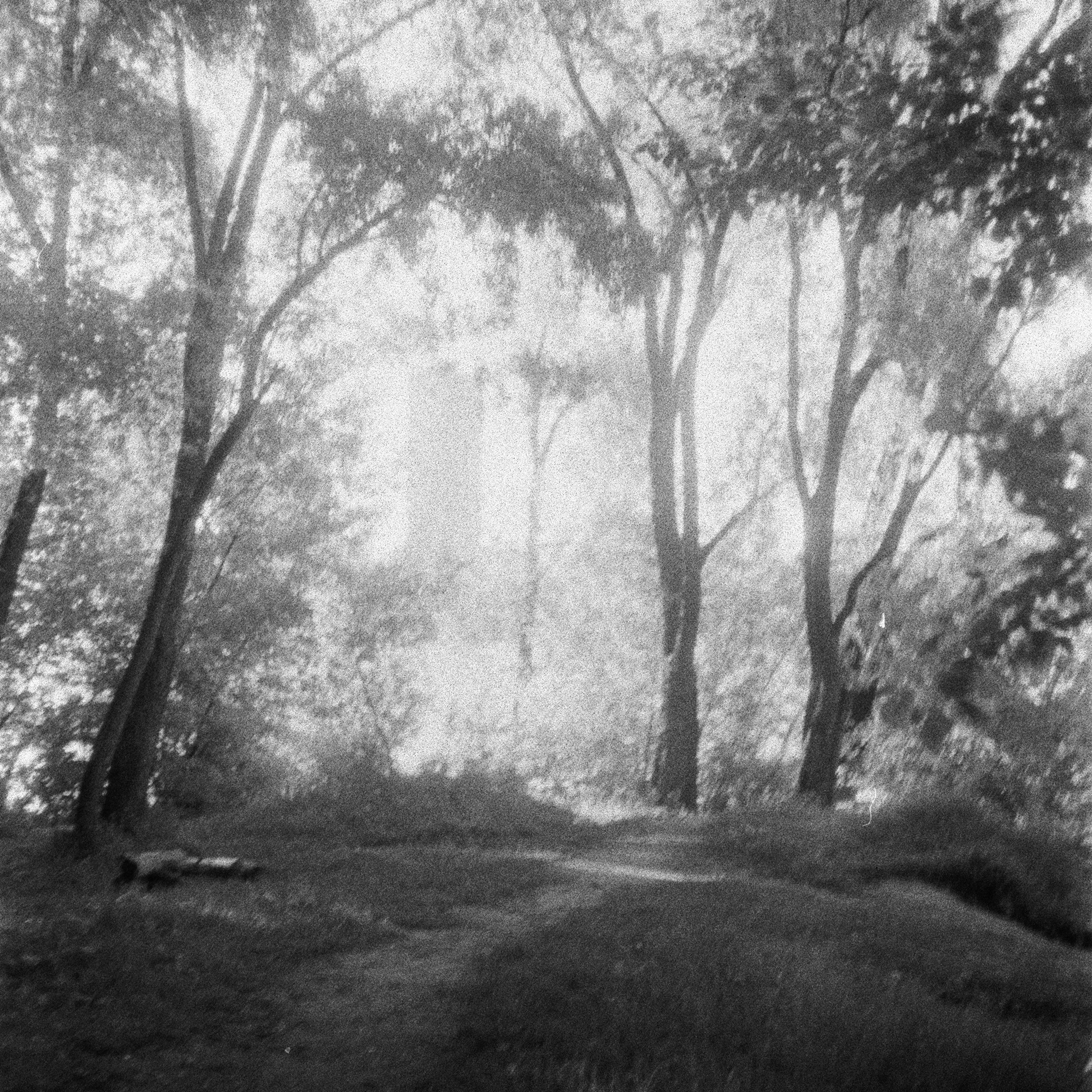 Braun Paxette / Agfa Aviphot Pan BW ISO 200