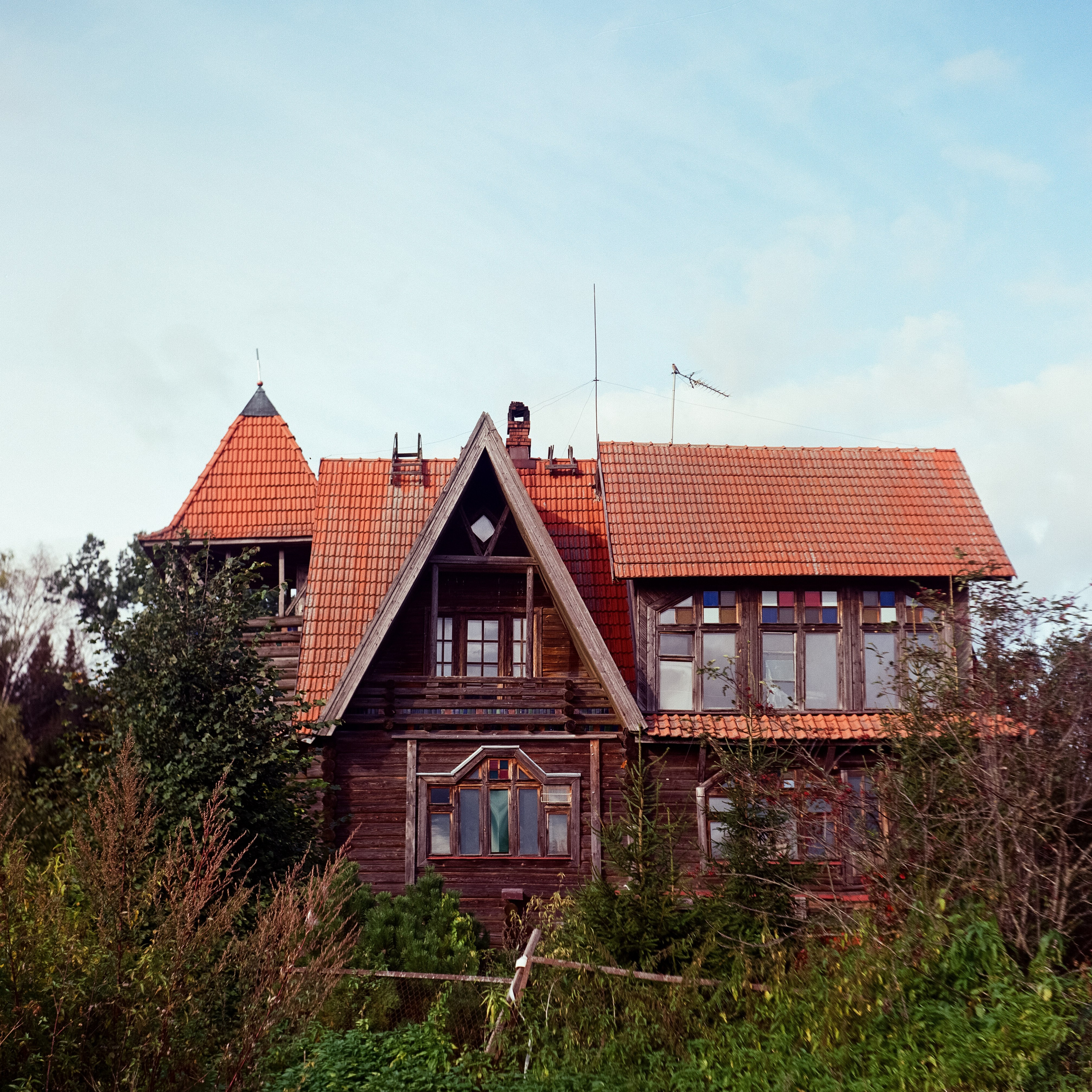 Rollop — Enna Munchen Ennagon C 75 mm f3.5 | Kodak Ektar 100 new | Сентябрь 2025 года