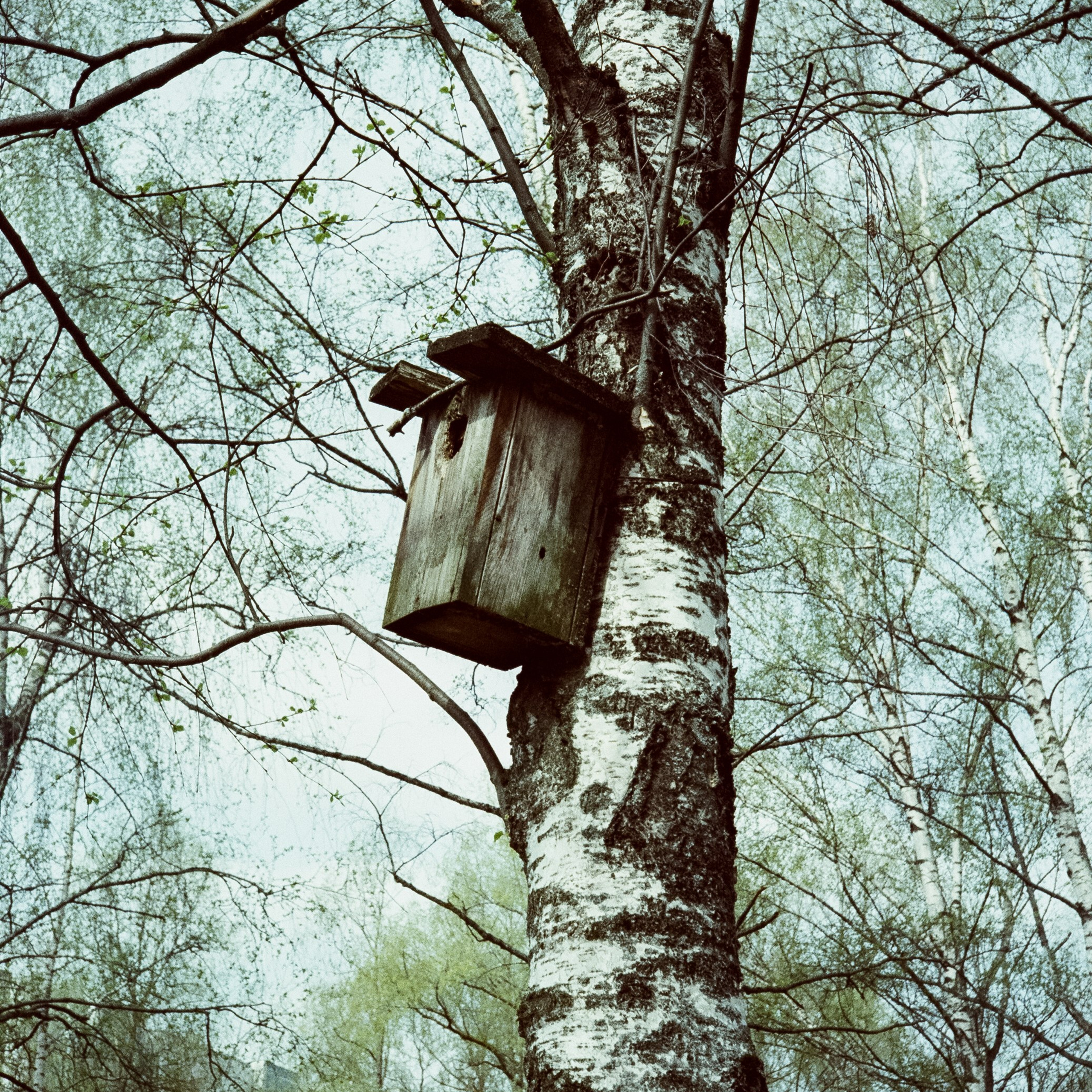 Ricoh 500GS / SFL 200T / Строгино тестовая пленка апрель 2024 г